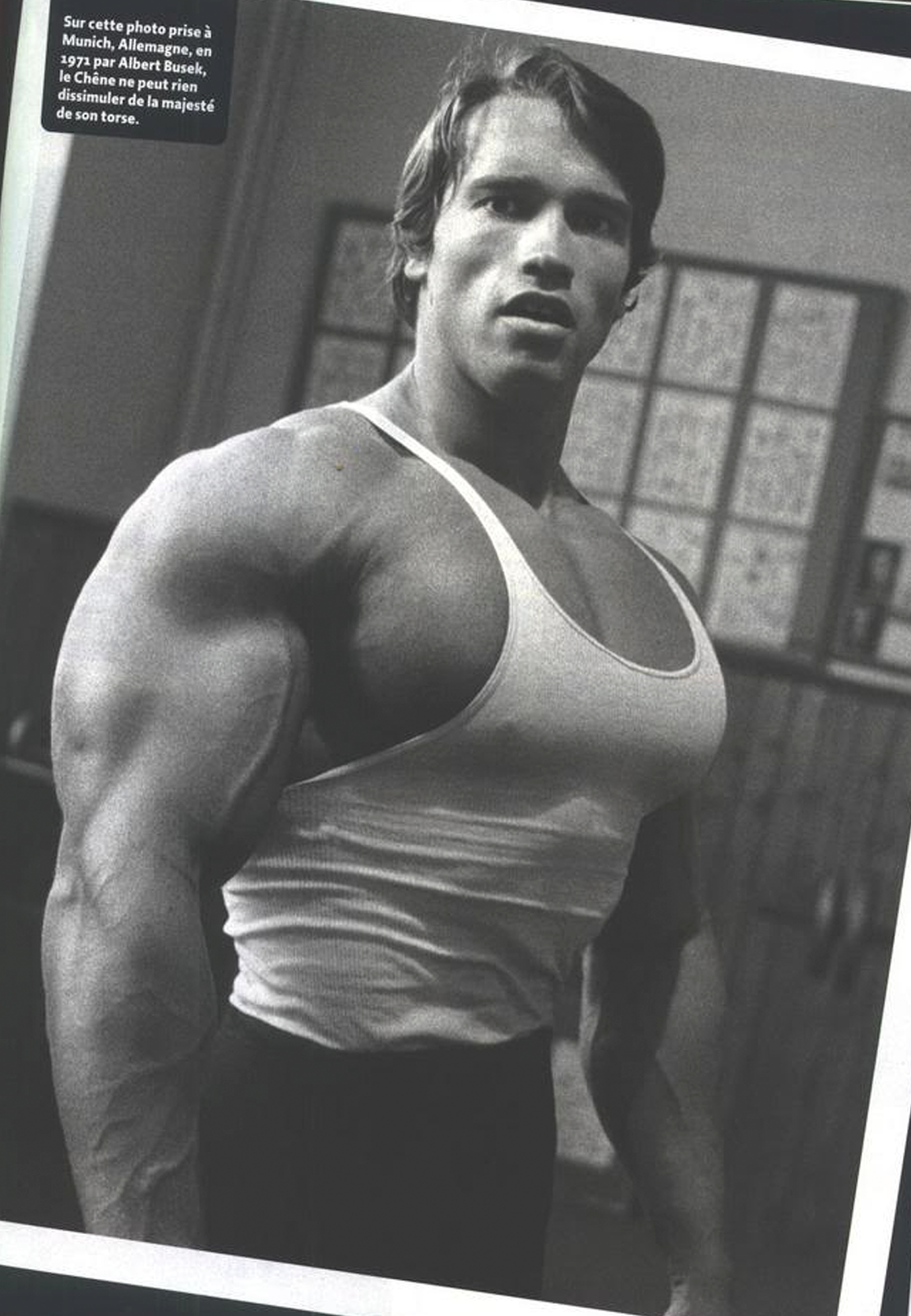 arnold schwarzenegger bodybuilding tapete,bodybuilding,bodybuilder,schulter,truhe,ohne brust