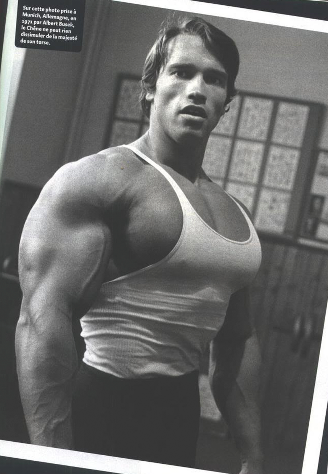 arnold schwarzenegger bodybuilding wallpaper,bodybuilding,bodybuilder,spalla,il petto,barechested