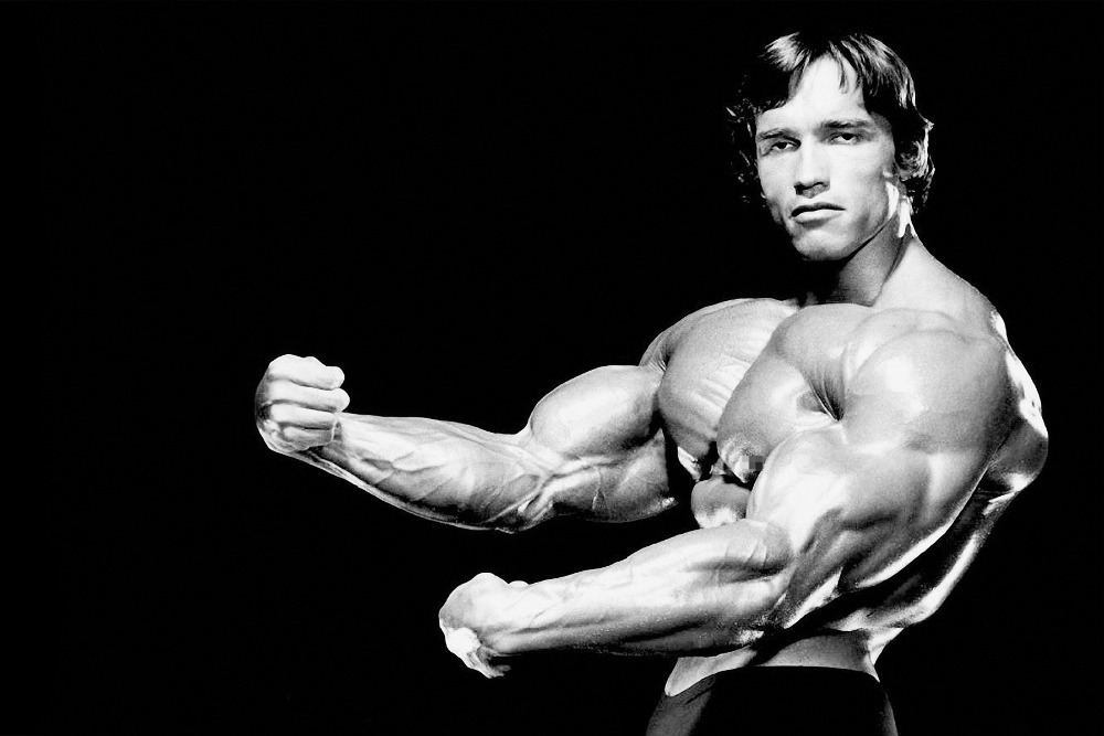 arnold schwarzenegger bodybuilding wallpaper,bodybuilder,bodybuilding,muscle,arm,standing