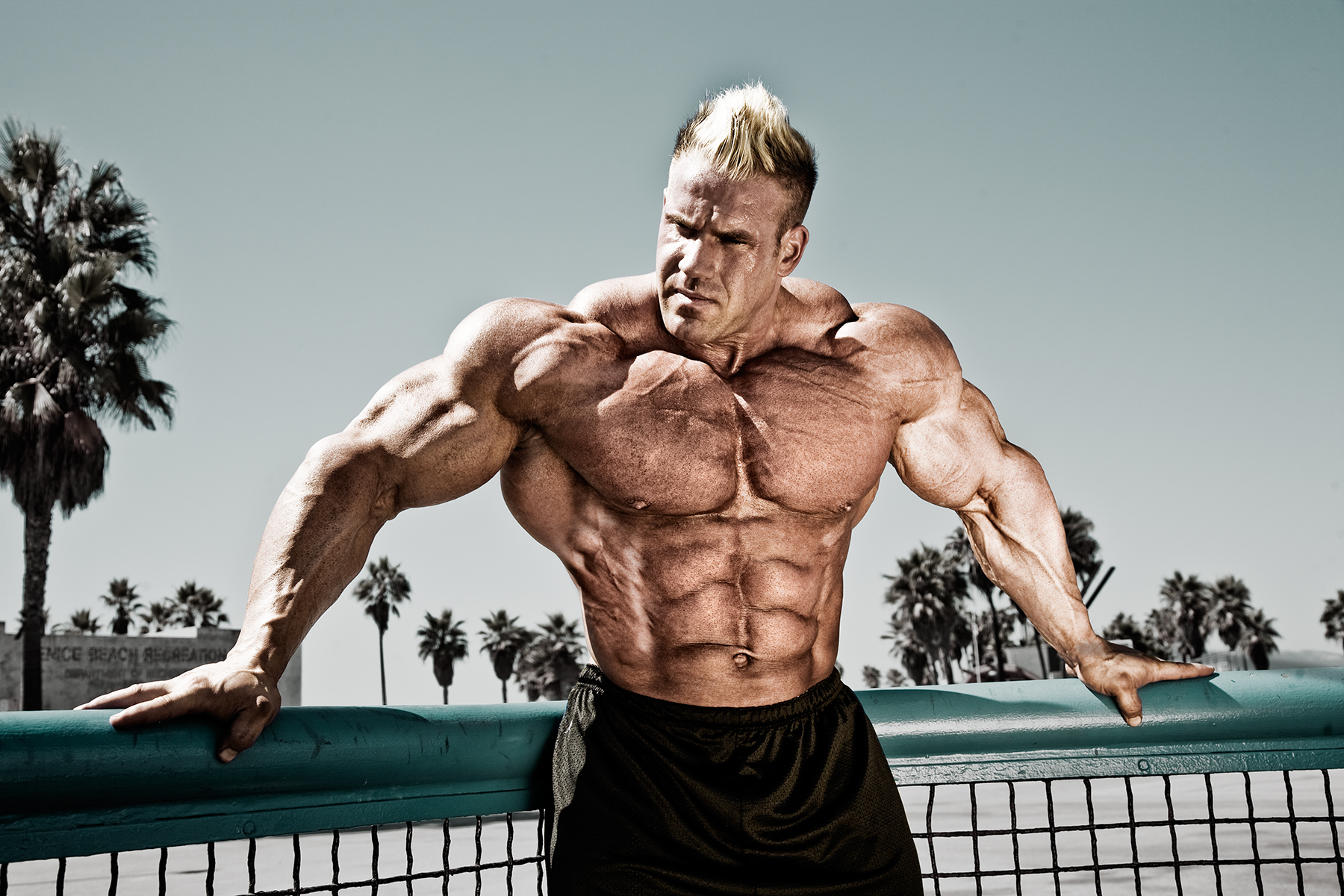 bodybuilder wallpaper full hd,bodybuilding,bodybuilder,ohne brust,körperliche fitness,truhe