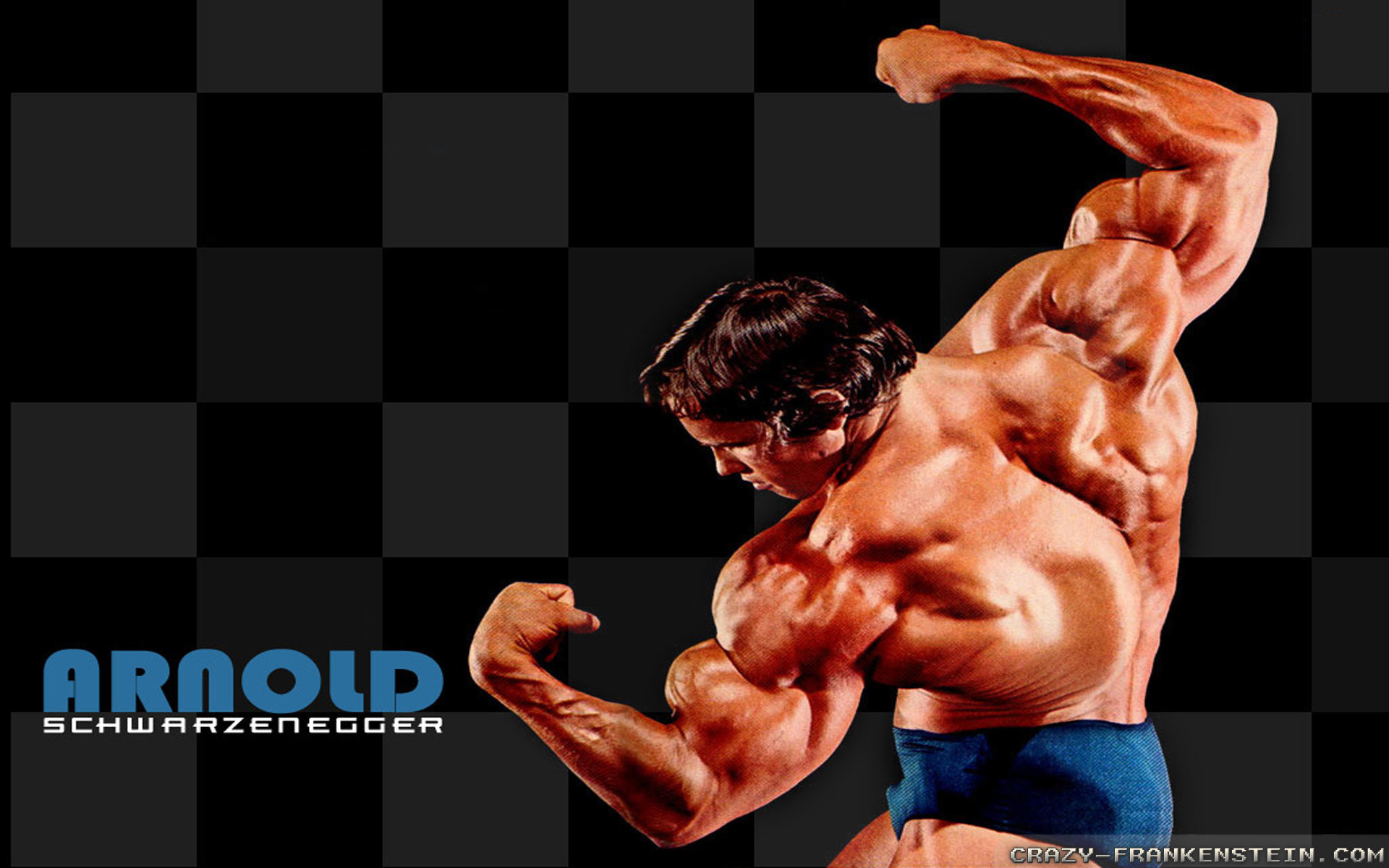Arnold Schwarzenegger Wallpaper Hd