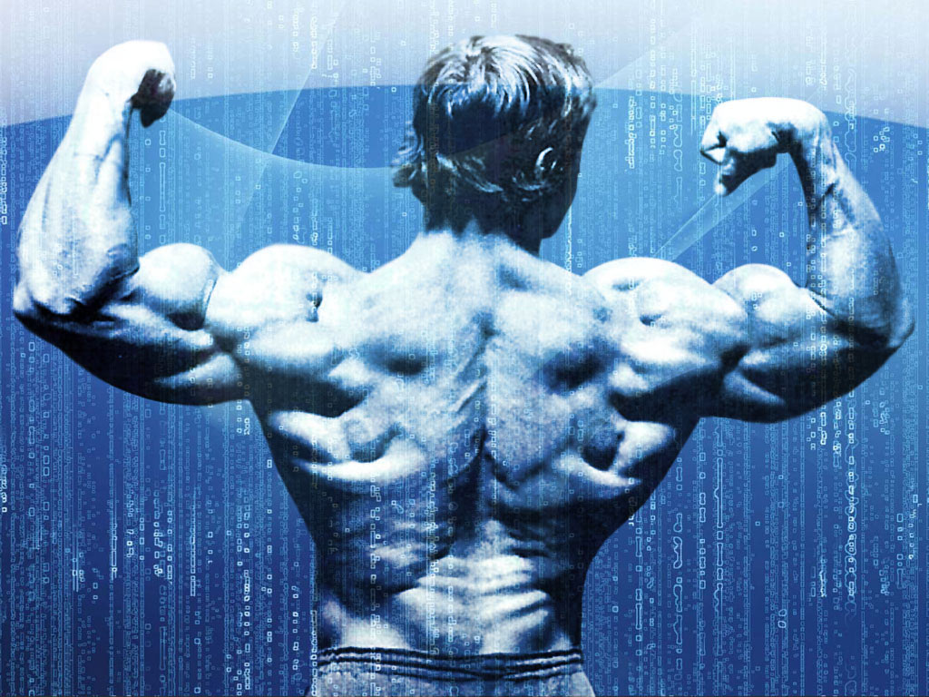 arnold schwarzenegger bodybuilding wallpaper,bodybuilding,bodybuilder,spalla,addome,idoneità fisica