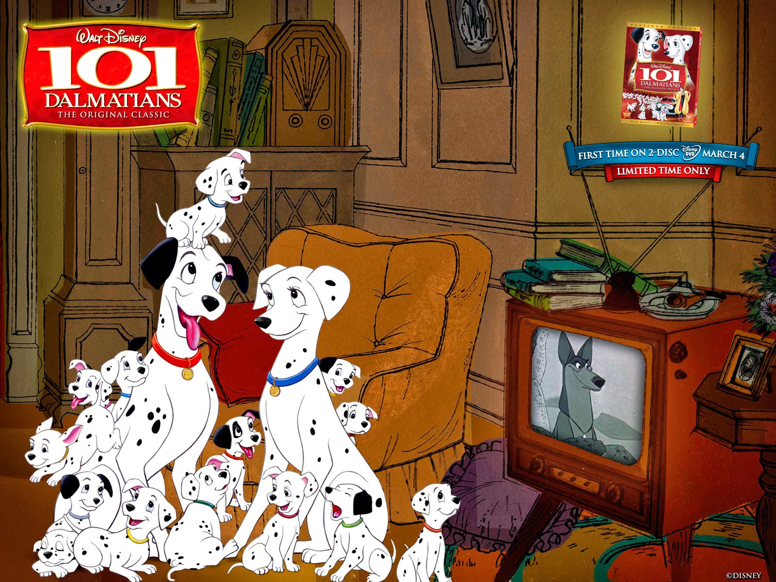 101 dalmatians wallpaper,dalmatian,dog,cartoon,canidae,animated cartoon