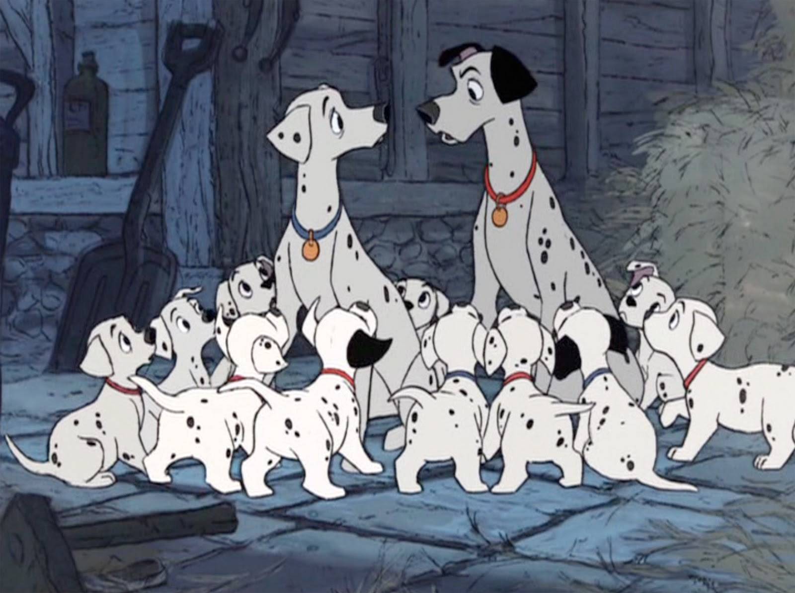 101 dalmatiens fond d'écran,chien,dalmatien,groupe non sportif,groupe sportif