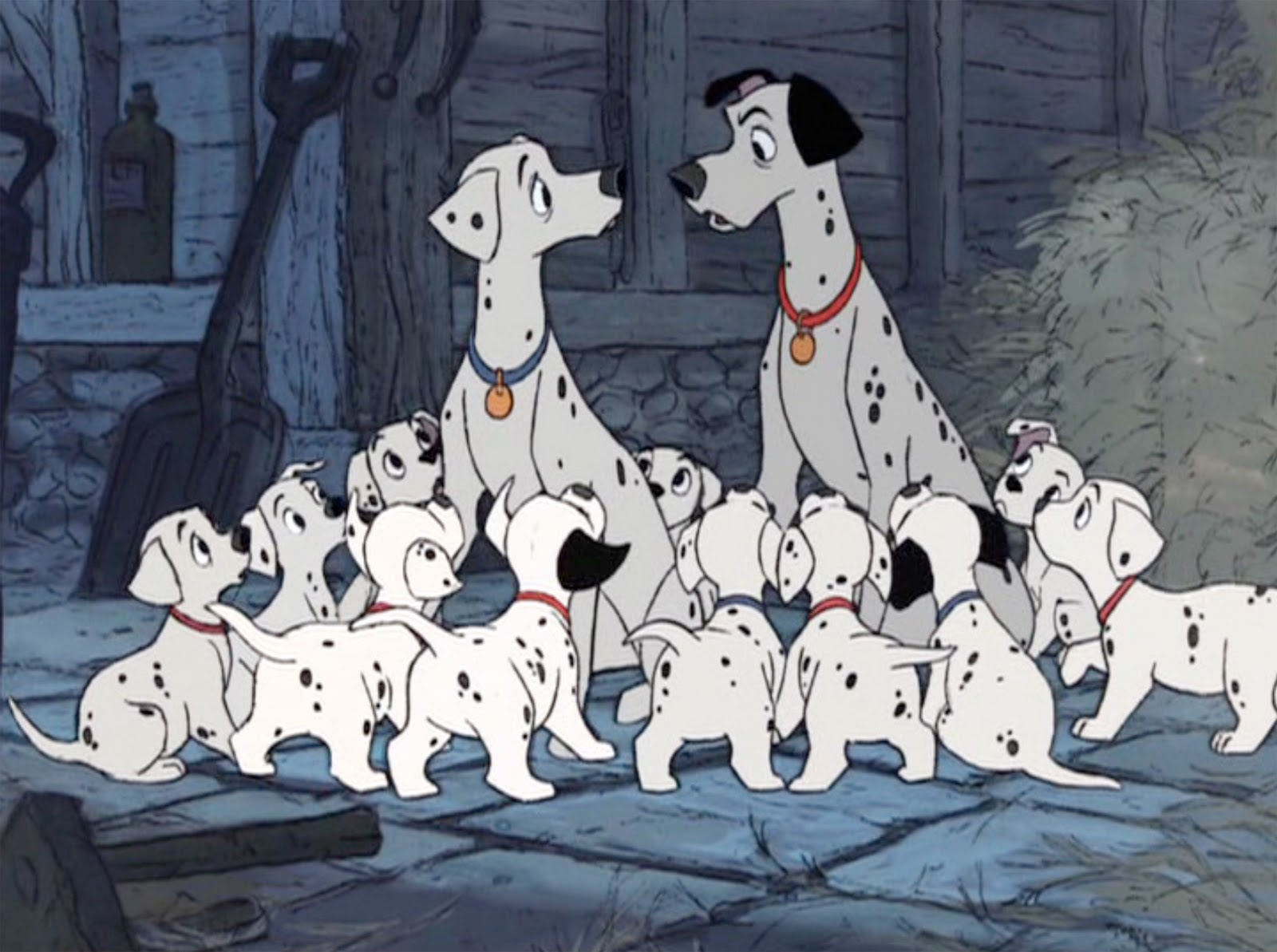 101 dalmatians wallpaper,dog,dalmatian,mammal,vertebrate,canidae