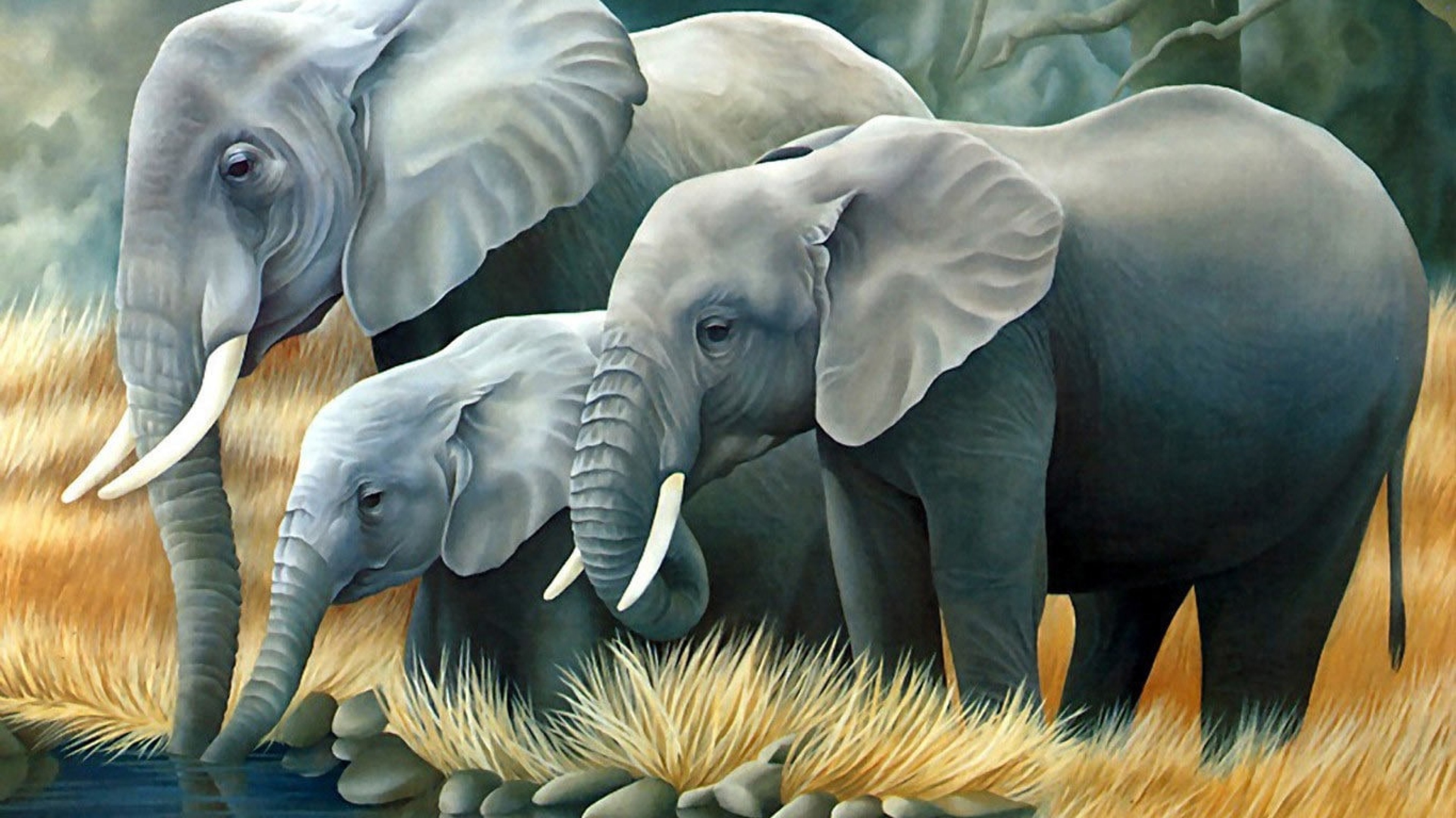 3d 4k hd wallpaper,elephant,elephants and mammoths,terrestrial animal,vertebrate,wildlife