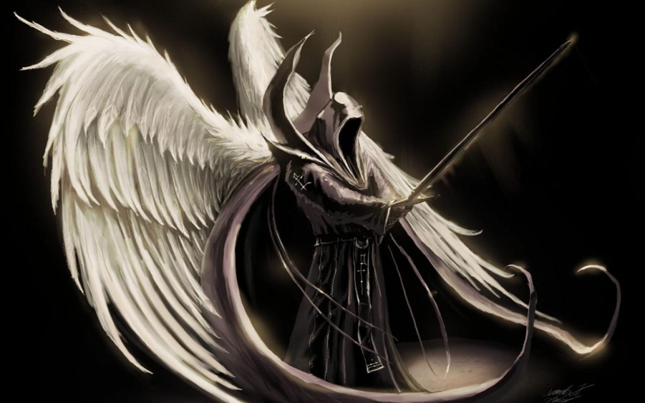 papel pintado angel negro,pluma,en blanco y negro,ala,fotografía de naturaleza muerta,cg artwork