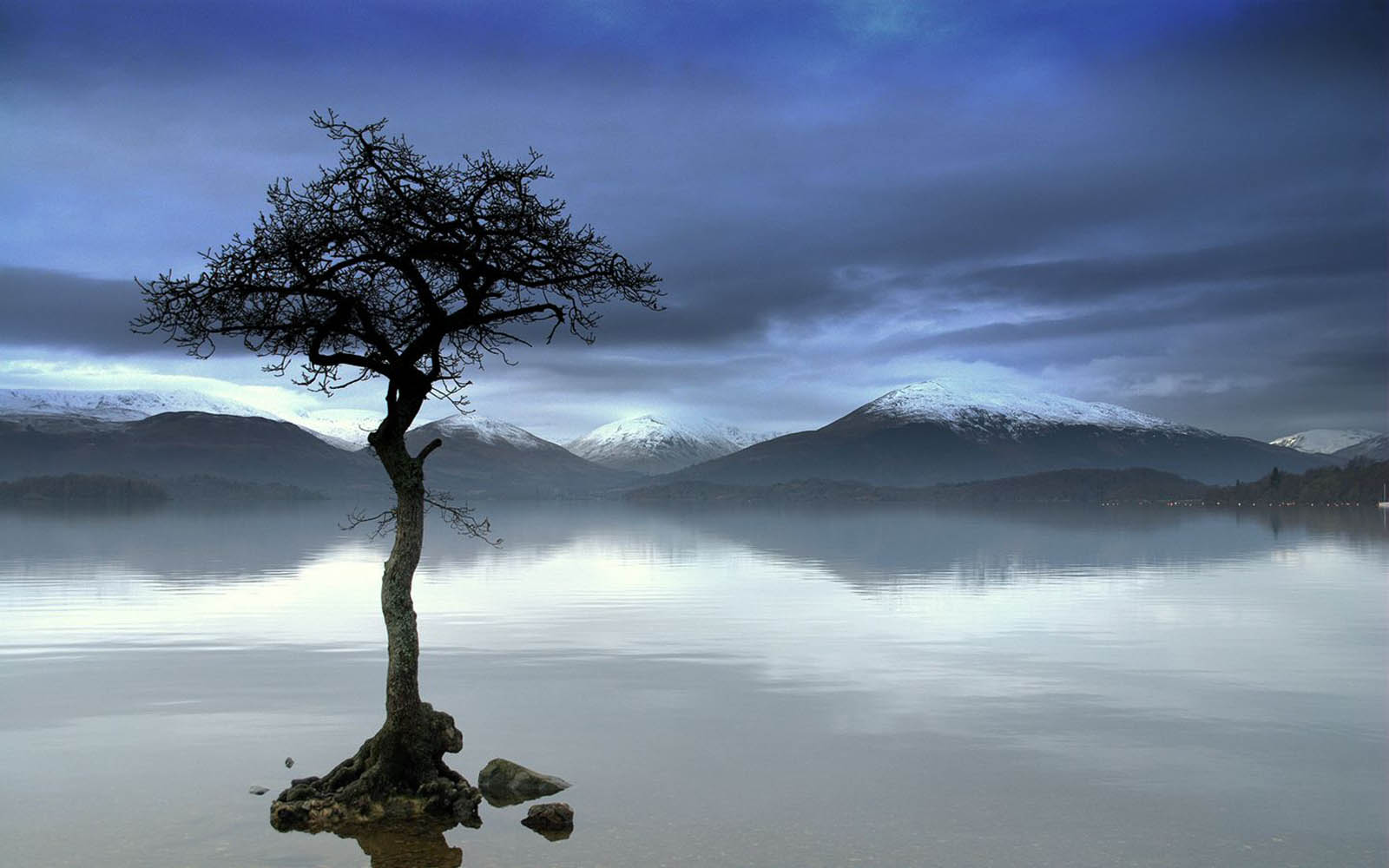 desktop sfondo albero,natura,paesaggio naturale,cielo,albero,riflessione