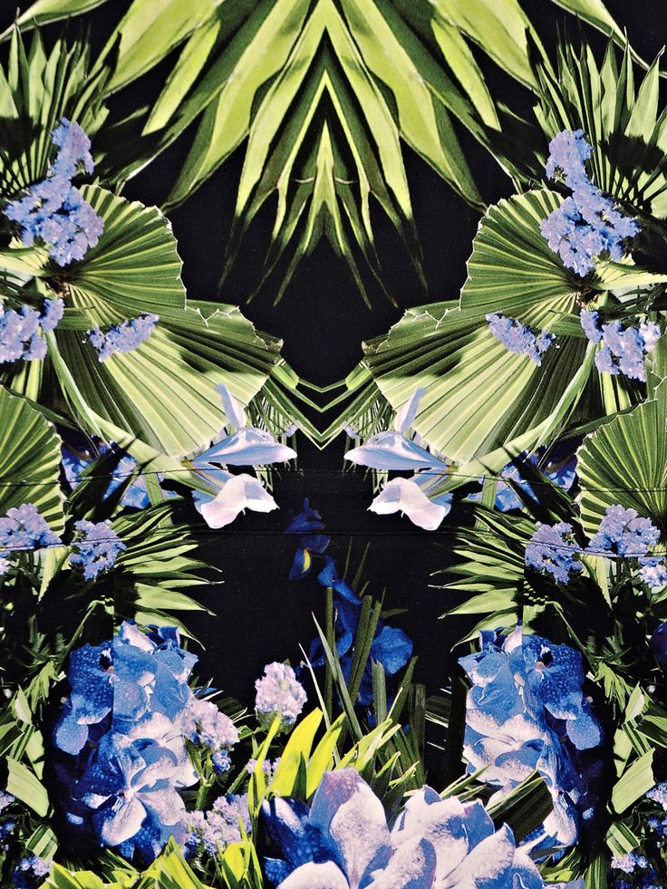 givenchy iphone wallpaper,blue,flower,plant,wildflower,design