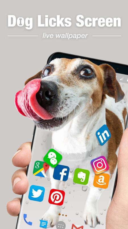 dog licks screen wallpaper,dog,canidae,dog breed,snout,nose