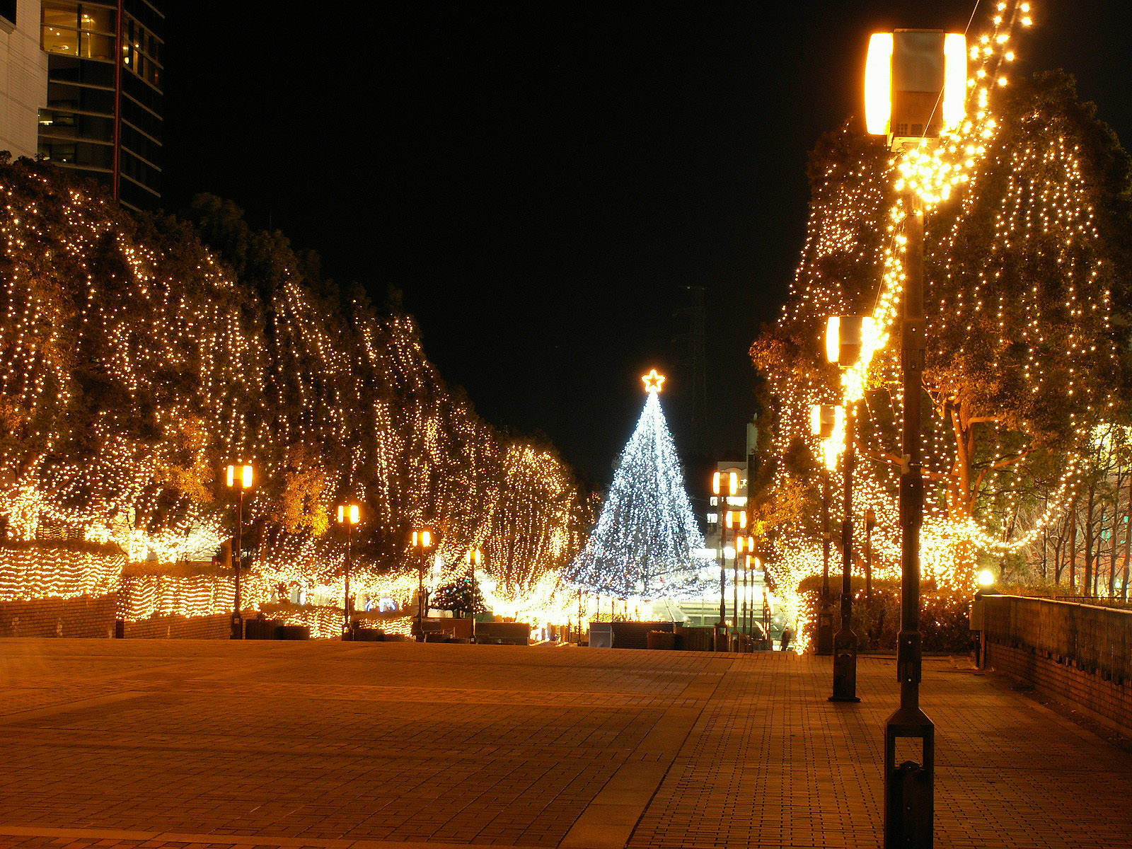 christmas decorations wallpaper,night,landmark,light,lighting,christmas lights