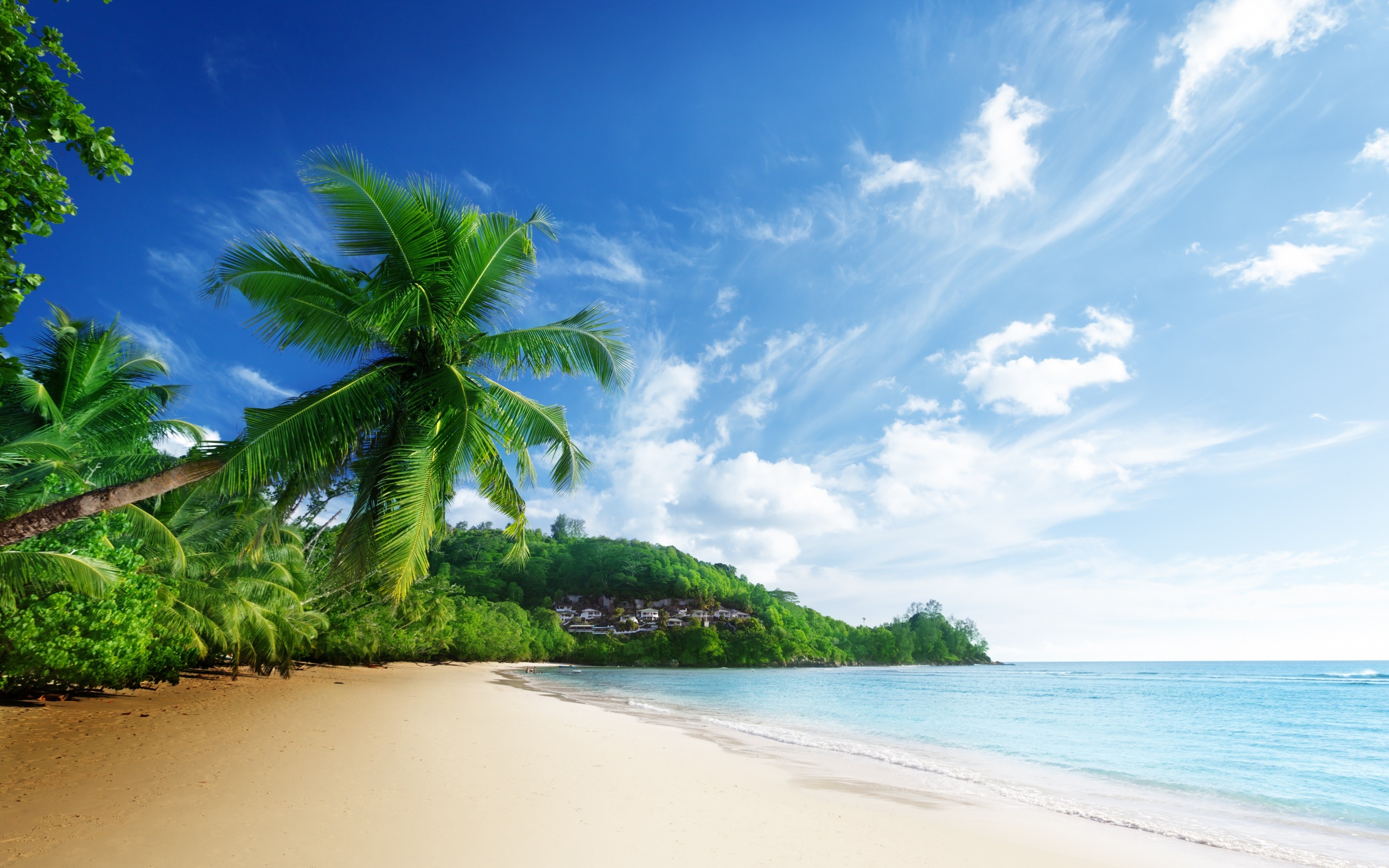 papel tapiz vista playa,naturaleza,paisaje natural,cielo,árbol,tiempo de día