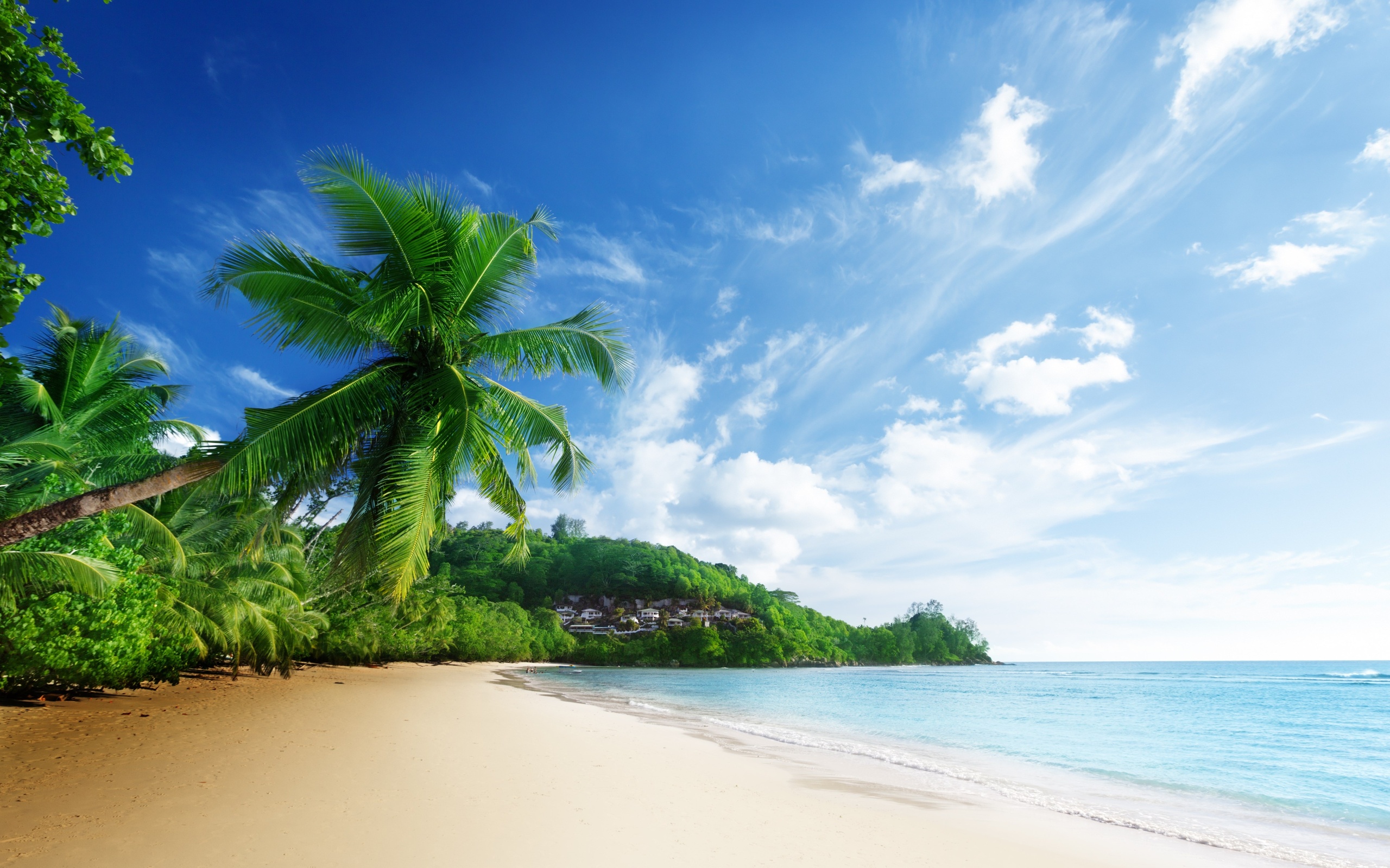 beach view wallpaper,nature,natural landscape,tropics,sky,tree