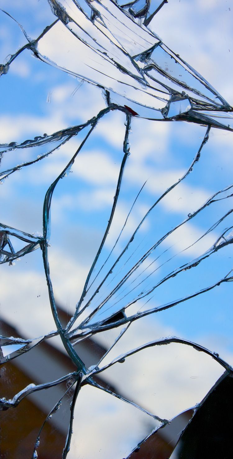 broken glass iphone wallpaper,blue,branch,tree,botany,twig