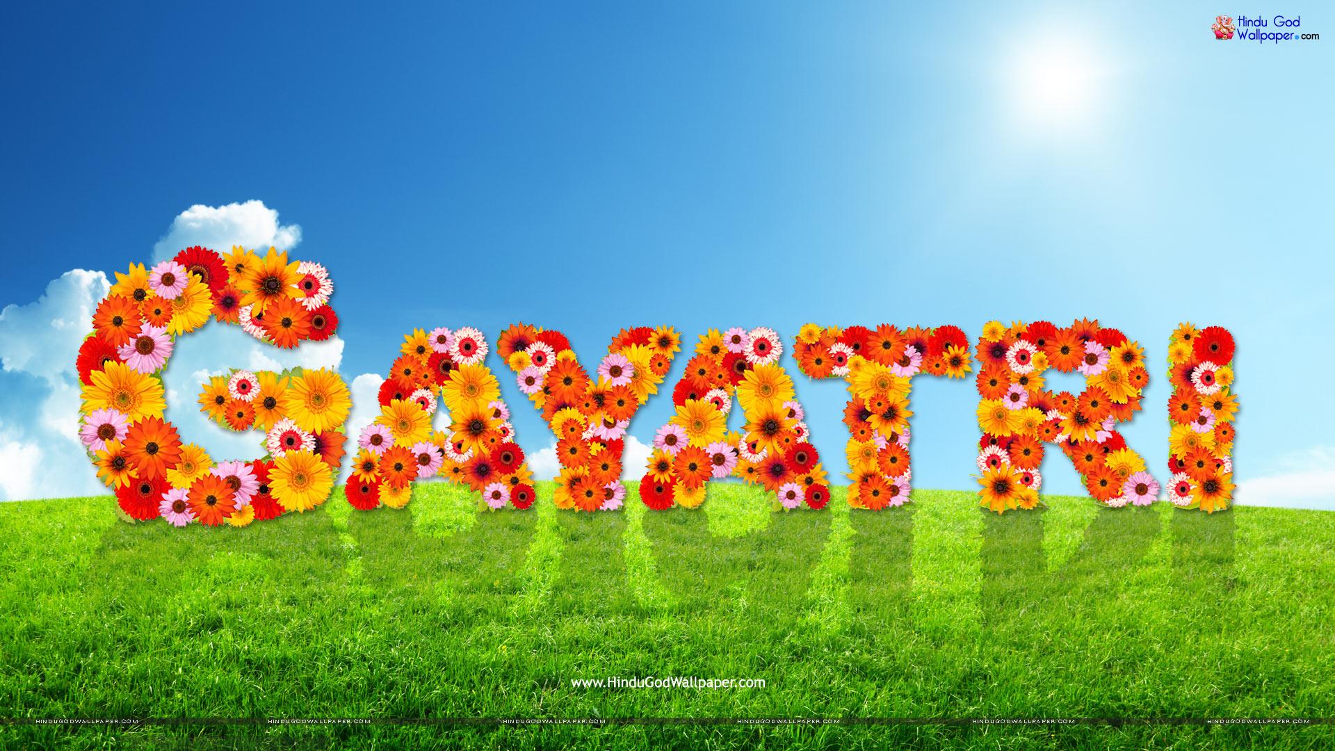 jay name wallpaper,sky,grass,font,spring,lawn