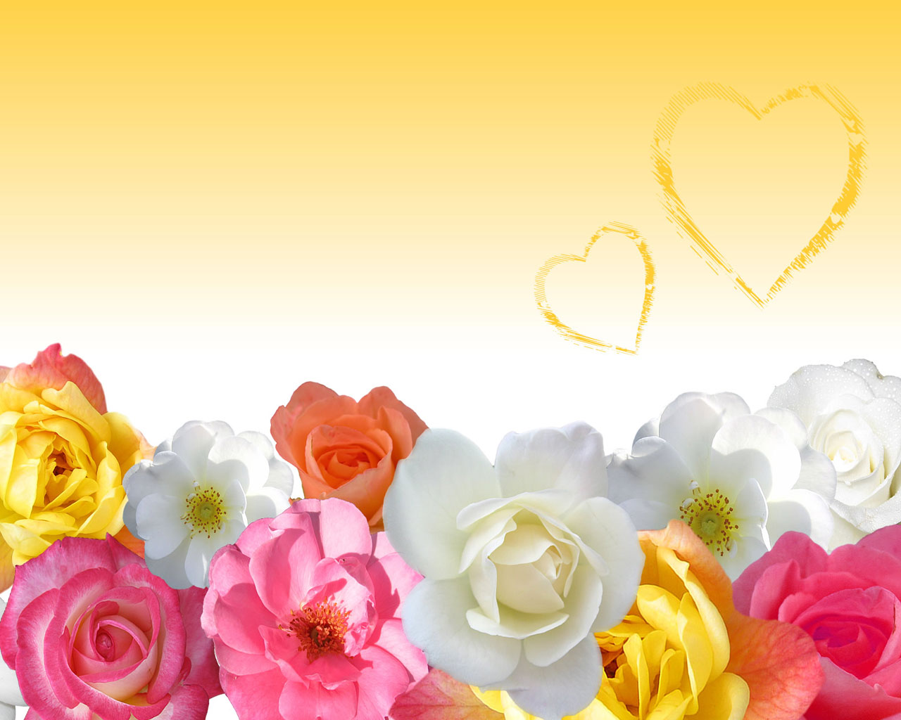 fondo de pantalla de amor con edición de nombre,pétalo,rosado,flor,rosa,amarillo