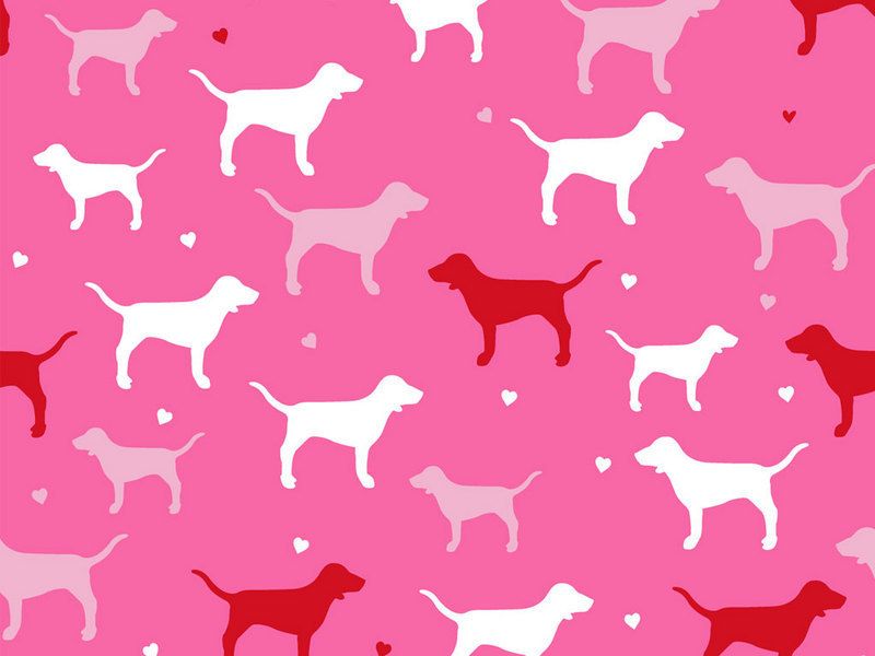 carta da parati di marca rosa,cane,rosa,figura animale,terrier,modello