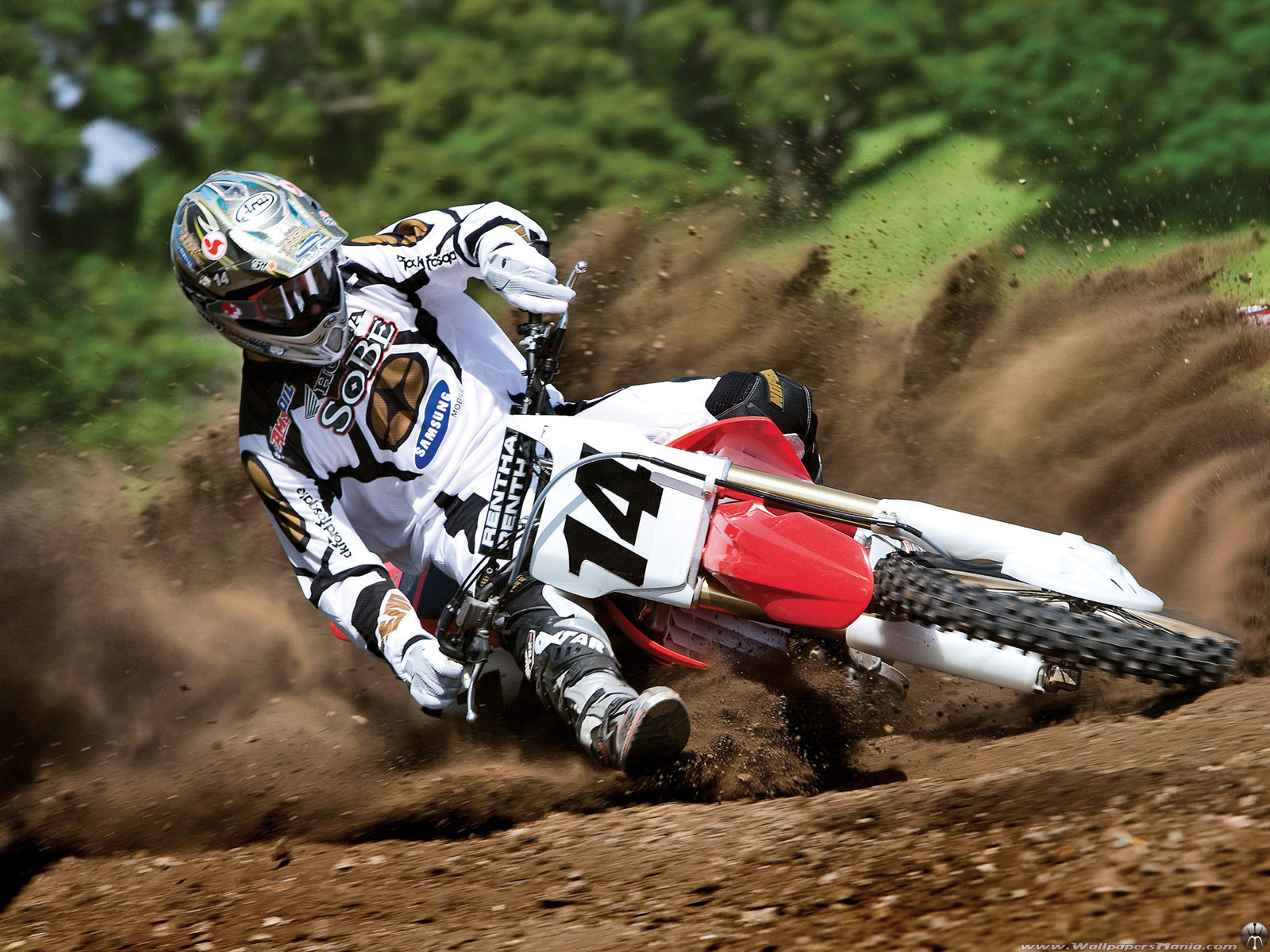 wallpaper de motocross,land vehicle,motocross,vehicle,sports,motorcycle racer