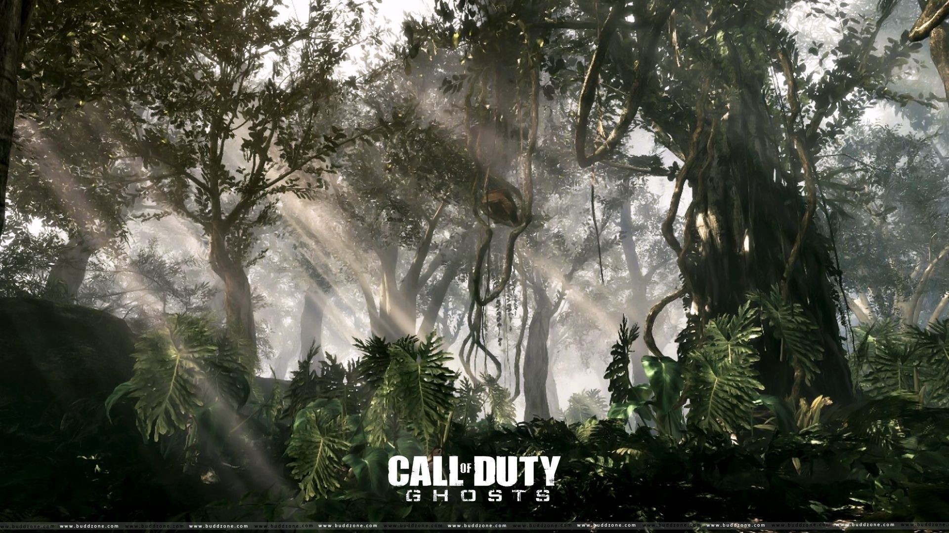 call of duty sfondi hd 1080p,natura,albero,foresta,giungla,paesaggio naturale