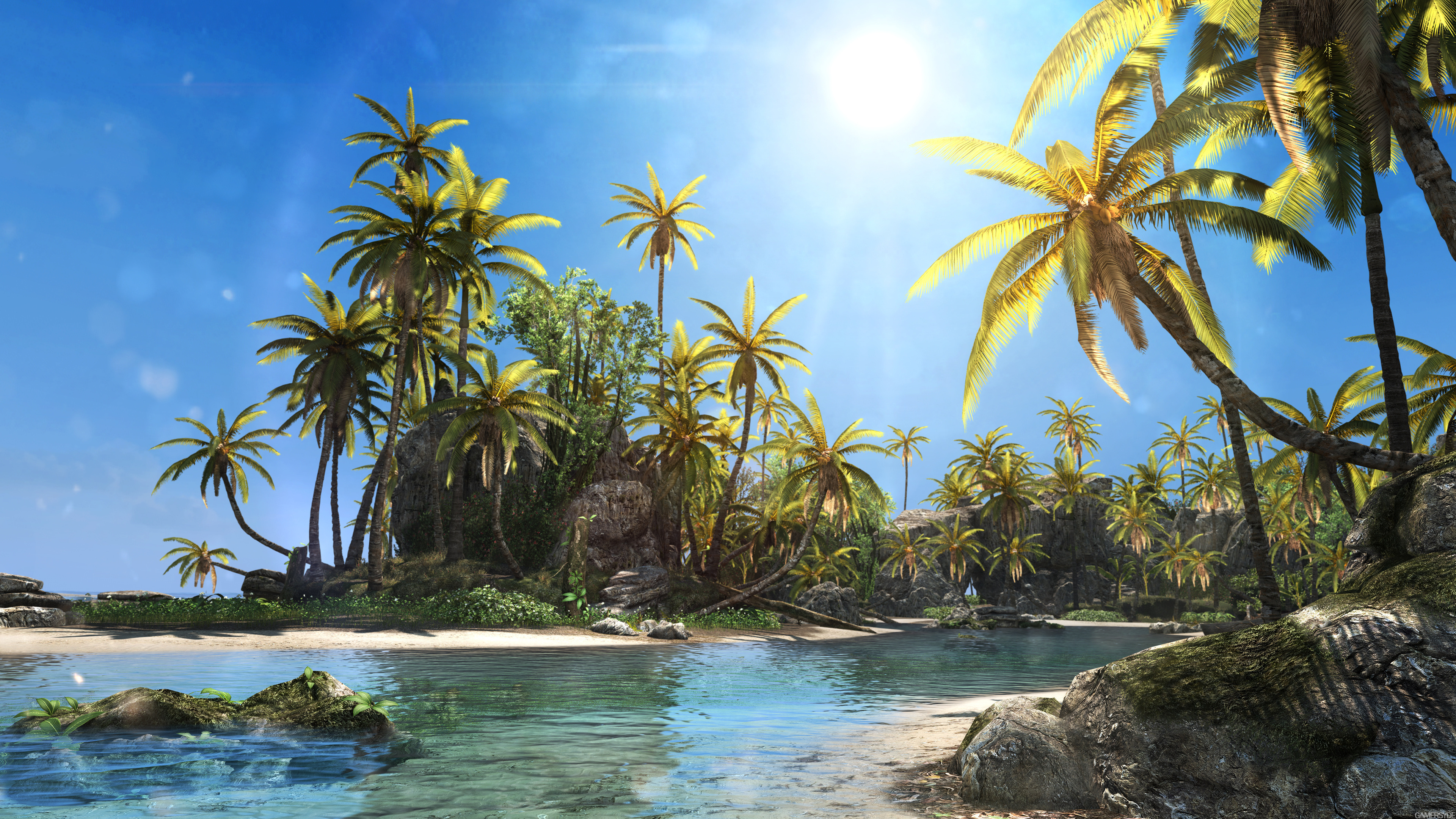 fondo de pantalla em 4k,naturaleza,paisaje natural,árbol,palmera,caribe