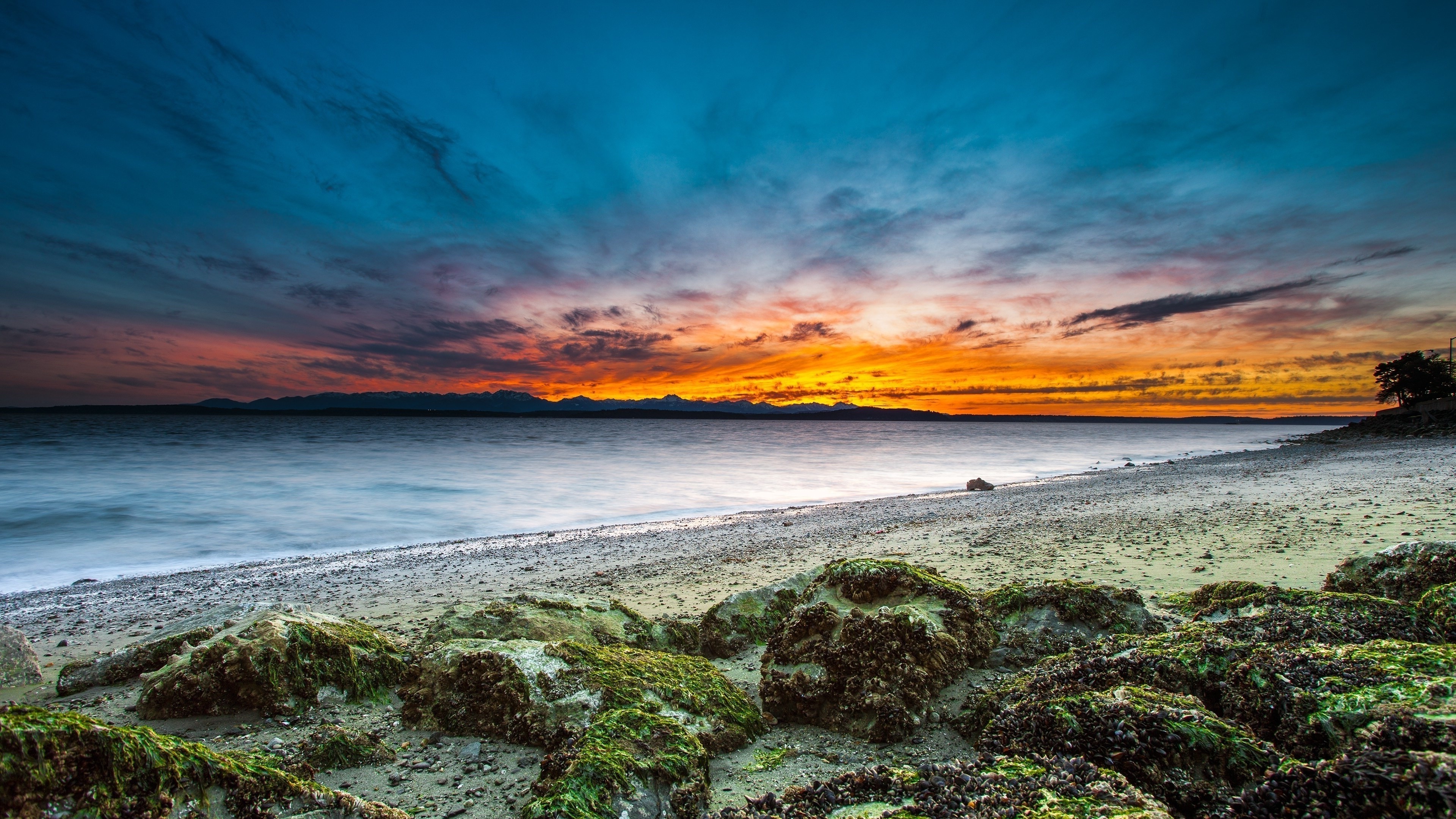 4k beach wallpaper,sky,body of water,nature,sea,shore