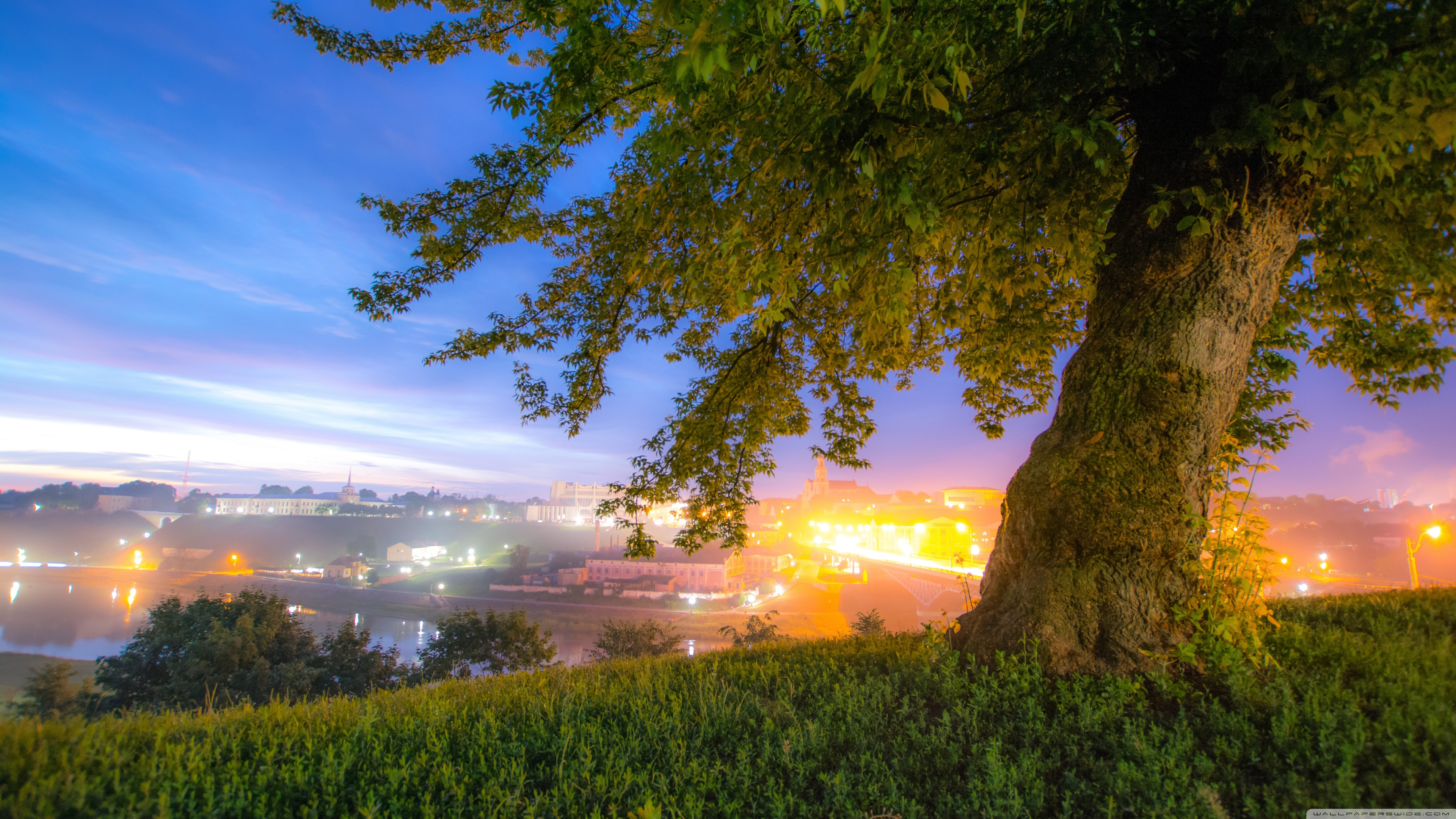 uhd wallpaper herunterladen,natürliche landschaft,natur,himmel,baum,morgen