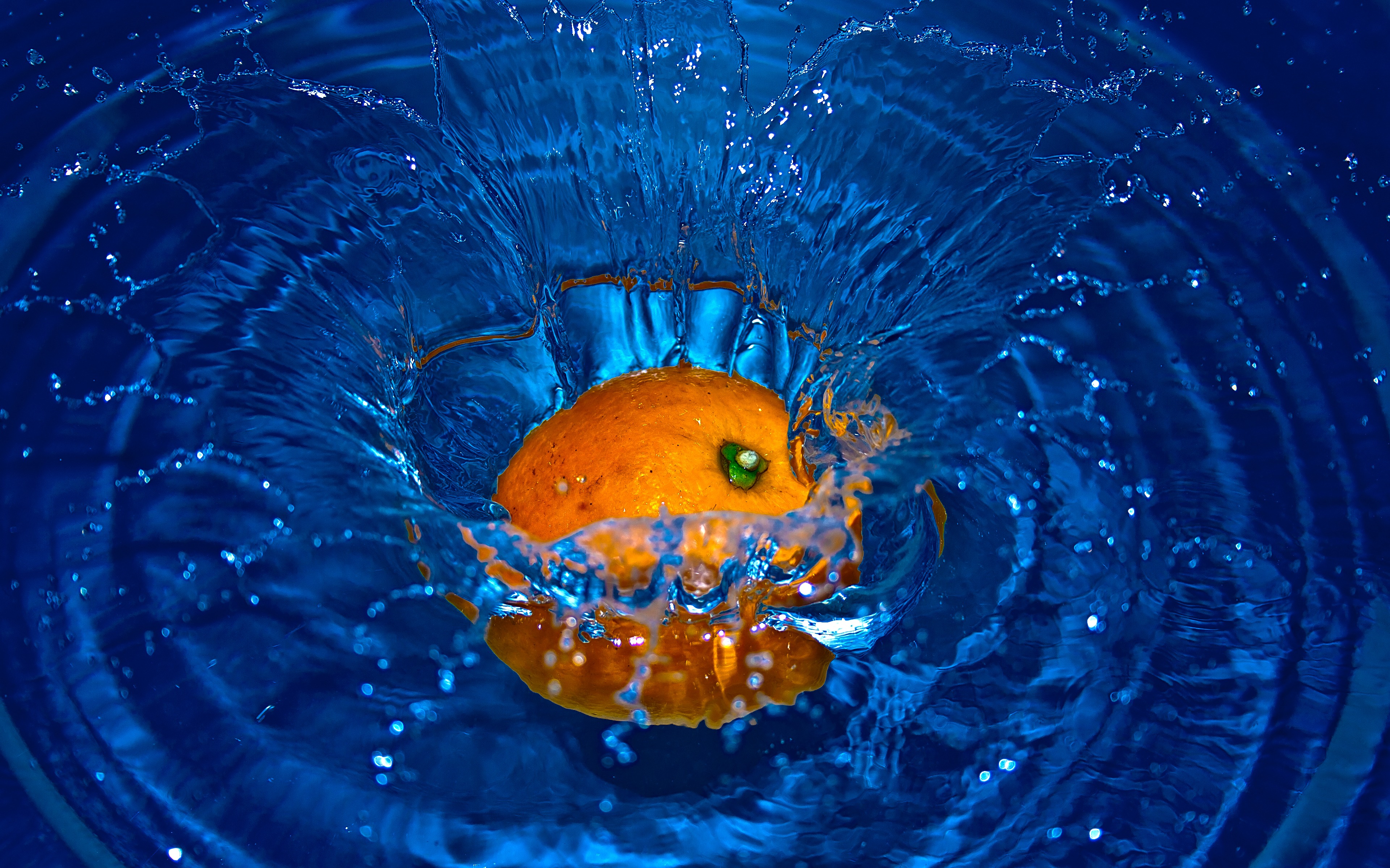 uhd fond d'écran télécharger,l'eau,œil,fermer,macro photographie,bleu électrique