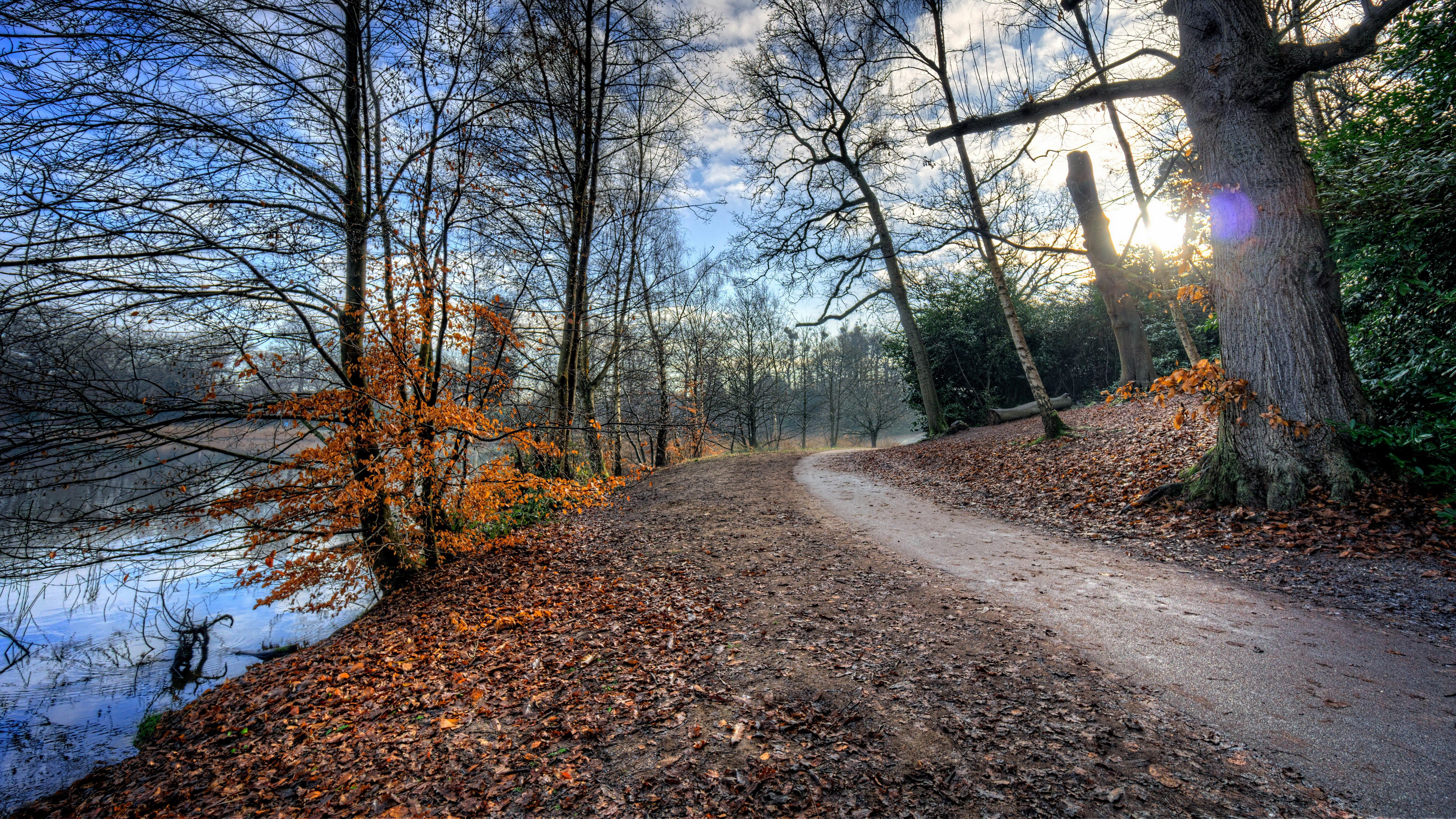 ultra hd fonds d'écran 8k 7680x4320 nature,paysage naturel,arbre,la nature,des bois,piste