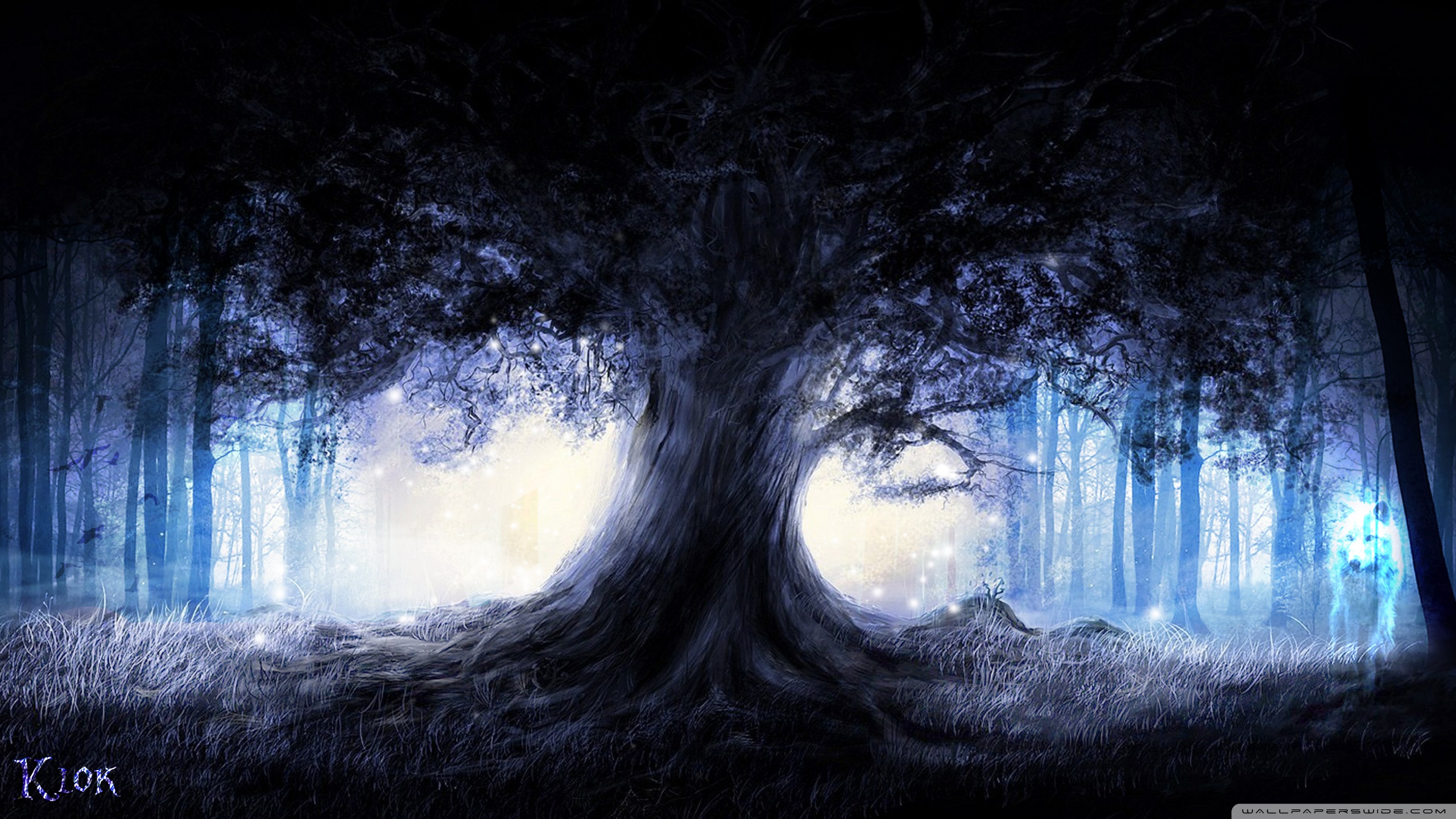 uhd wallpaper download,blue,darkness,water,tree,atmospheric phenomenon