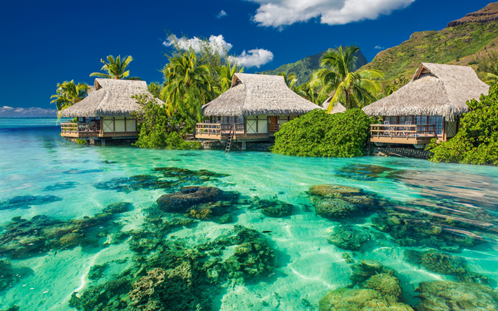 4k imágenes fondos de pantalla,paisaje natural,naturaleza,caribe,recurso,oceano