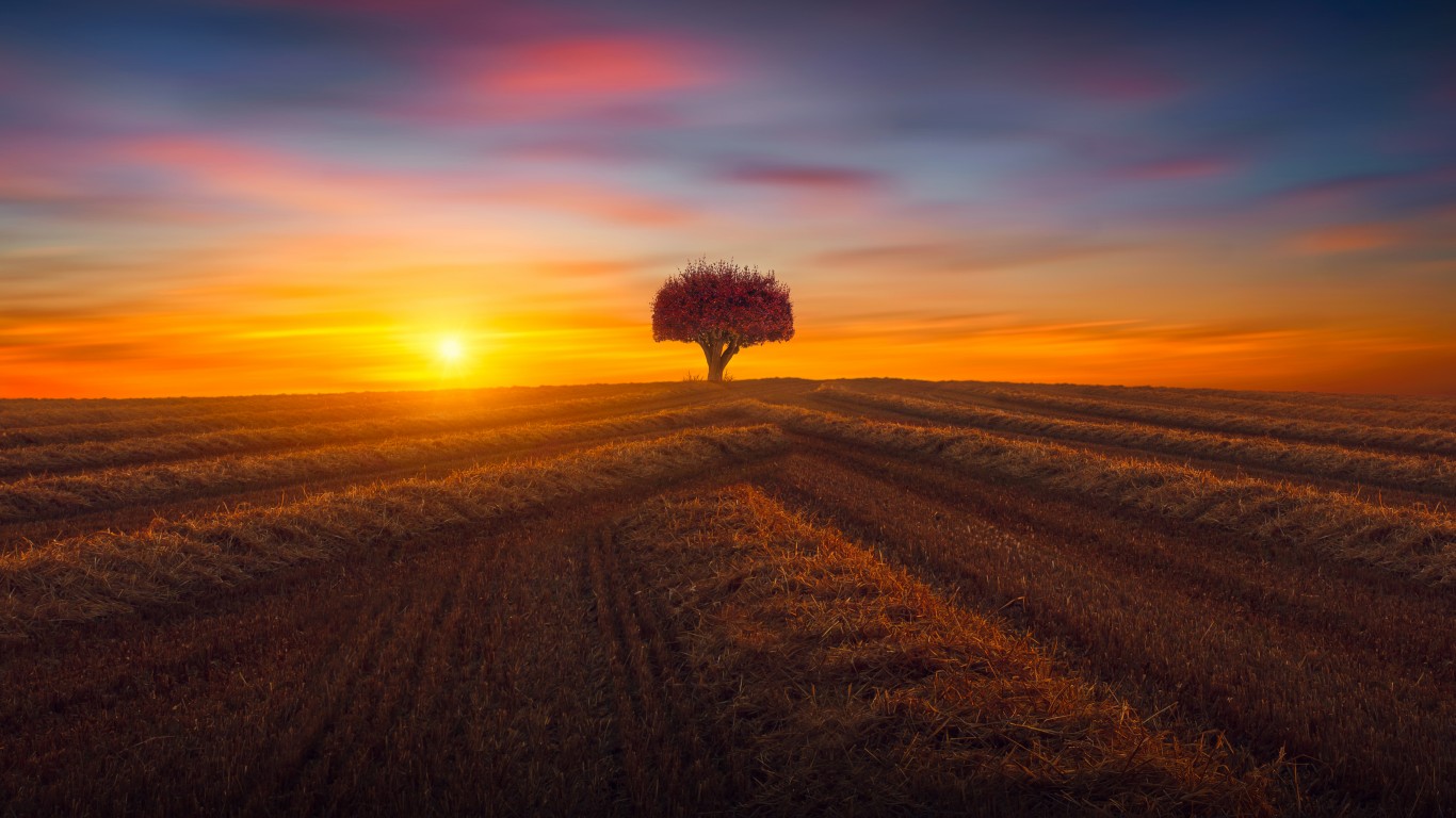 4k photos fonds d'écran,ciel,horizon,paysage naturel,lever du soleil,arbre