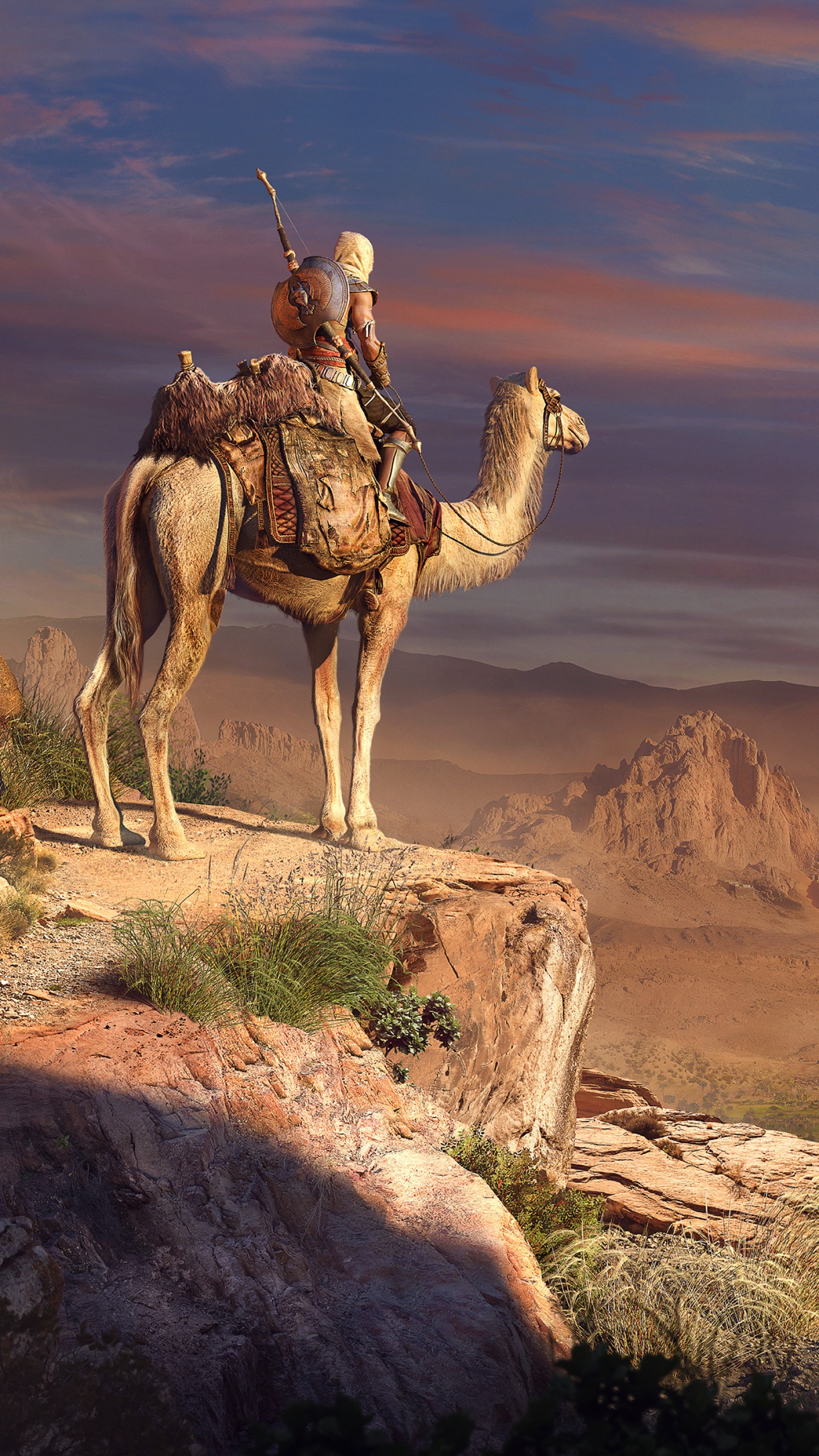 4k imágenes fondos de pantalla,camello,camello árabe,desierto,paquete animal,paisaje