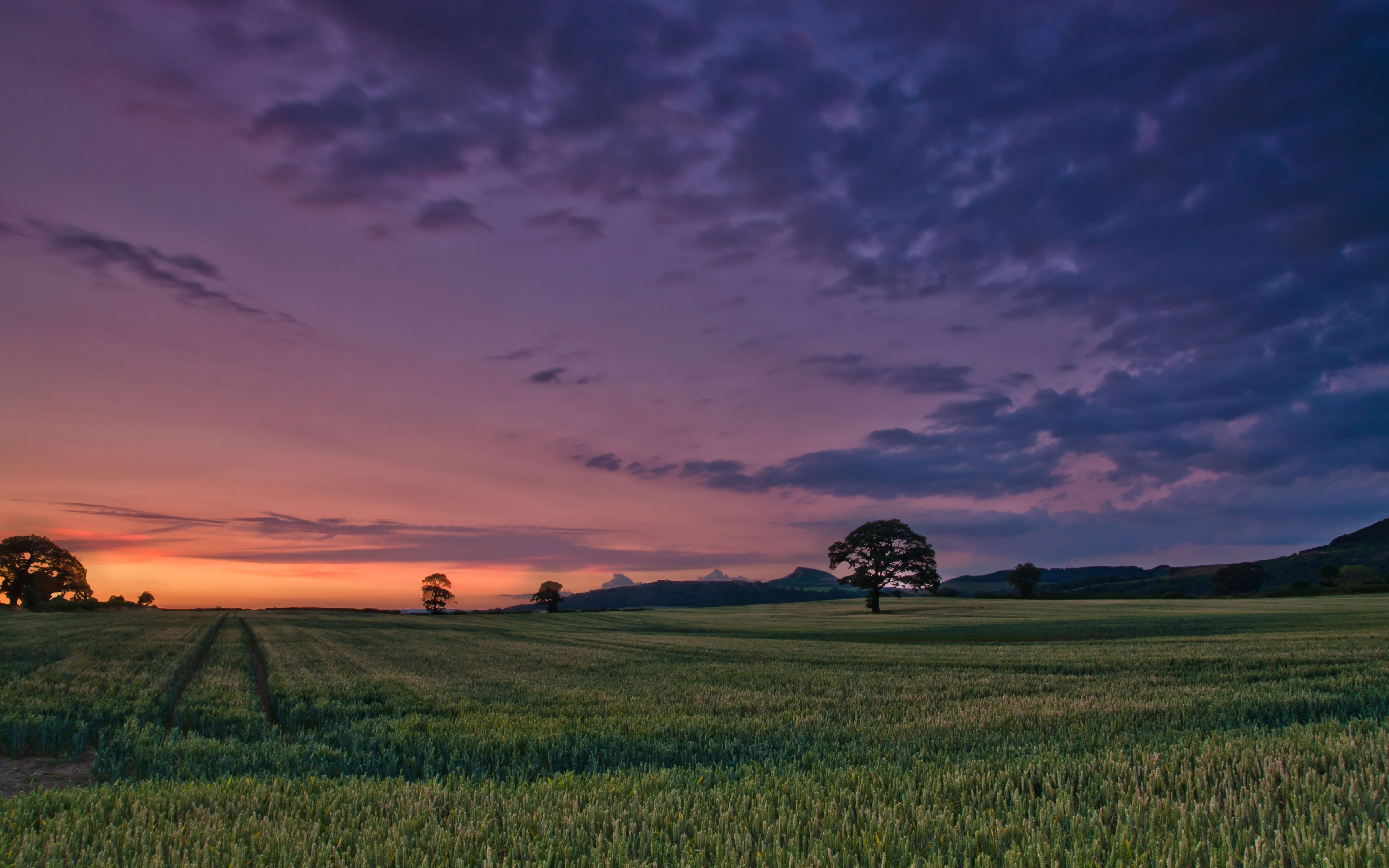 4k picture wallpaper,sky,field,cloud,nature,natural landscape