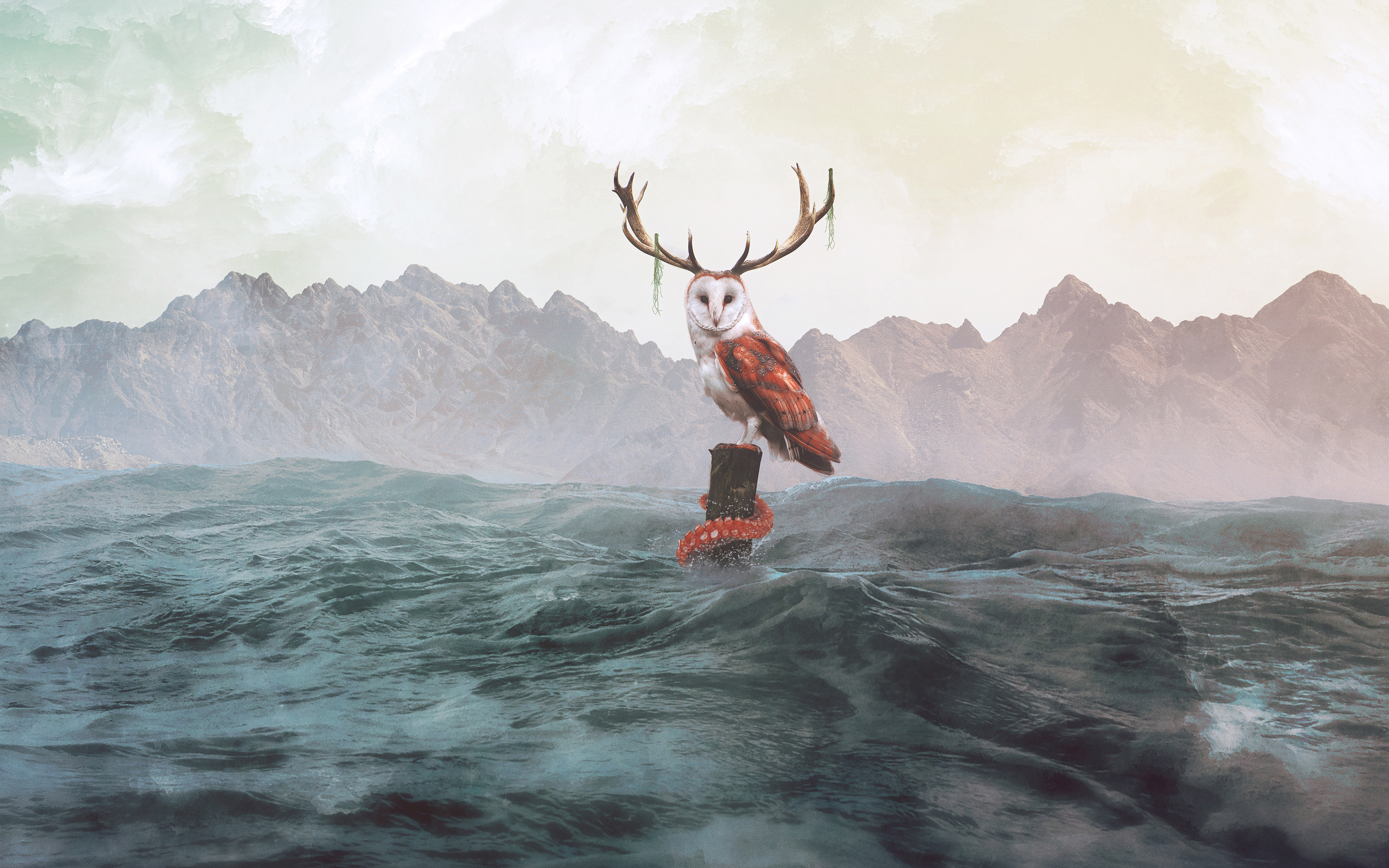 4k picture wallpaper,reindeer,atmospheric phenomenon,sky,deer,illustration