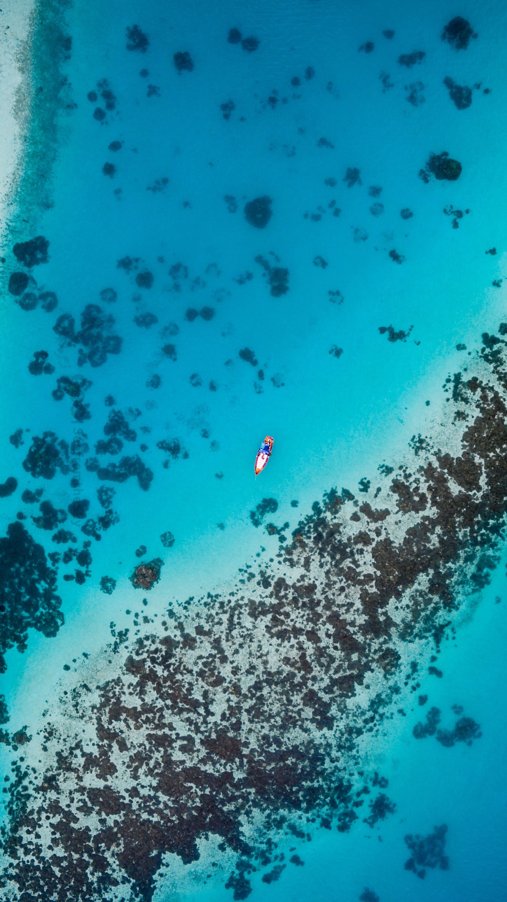 sfondi per telefono uhd,blu,acqua,turchese,acqua,biologia marina