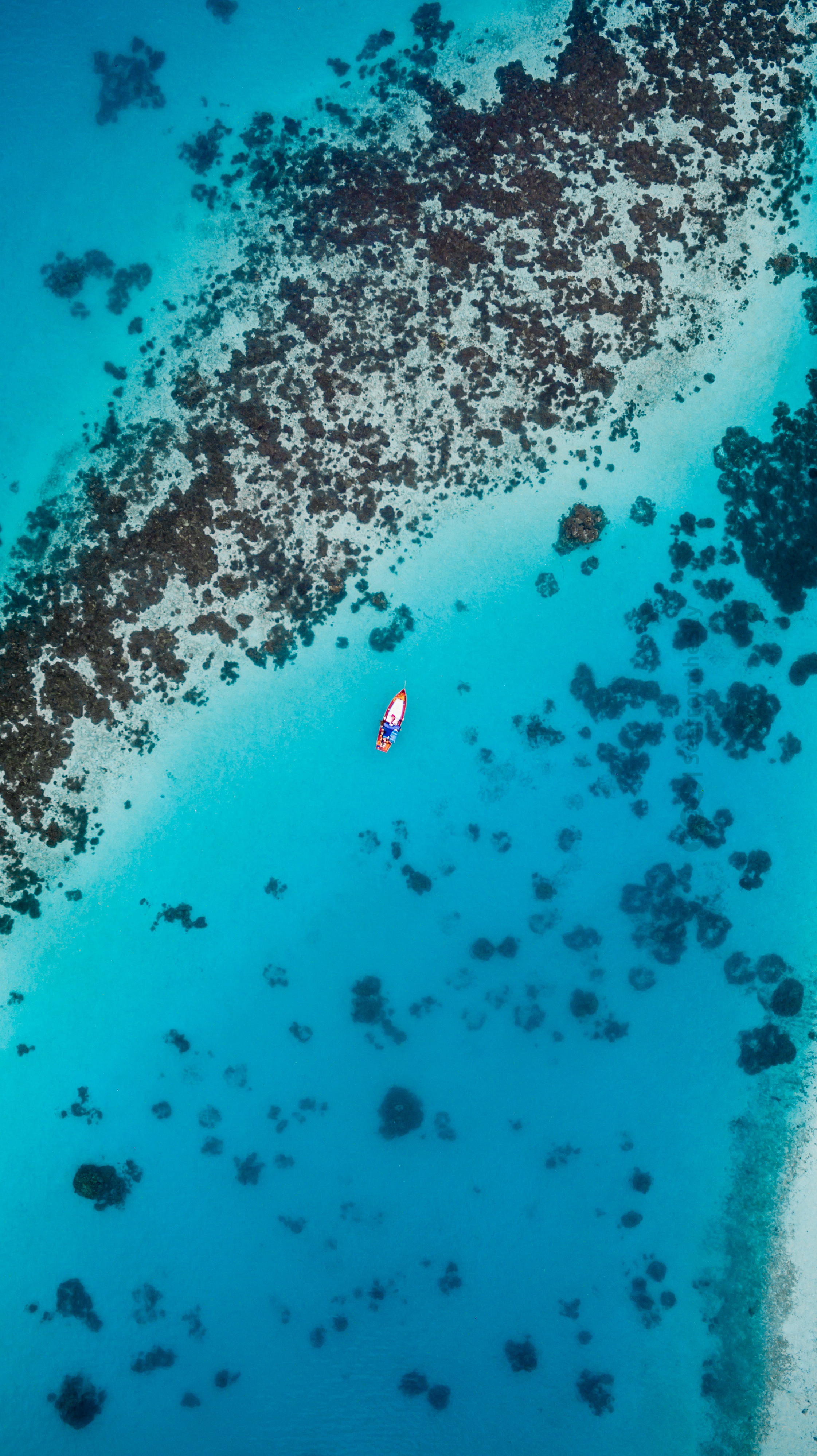 fondo de pantalla de ultra alta resolución,azul,agua,agua,turquesa,biología marina