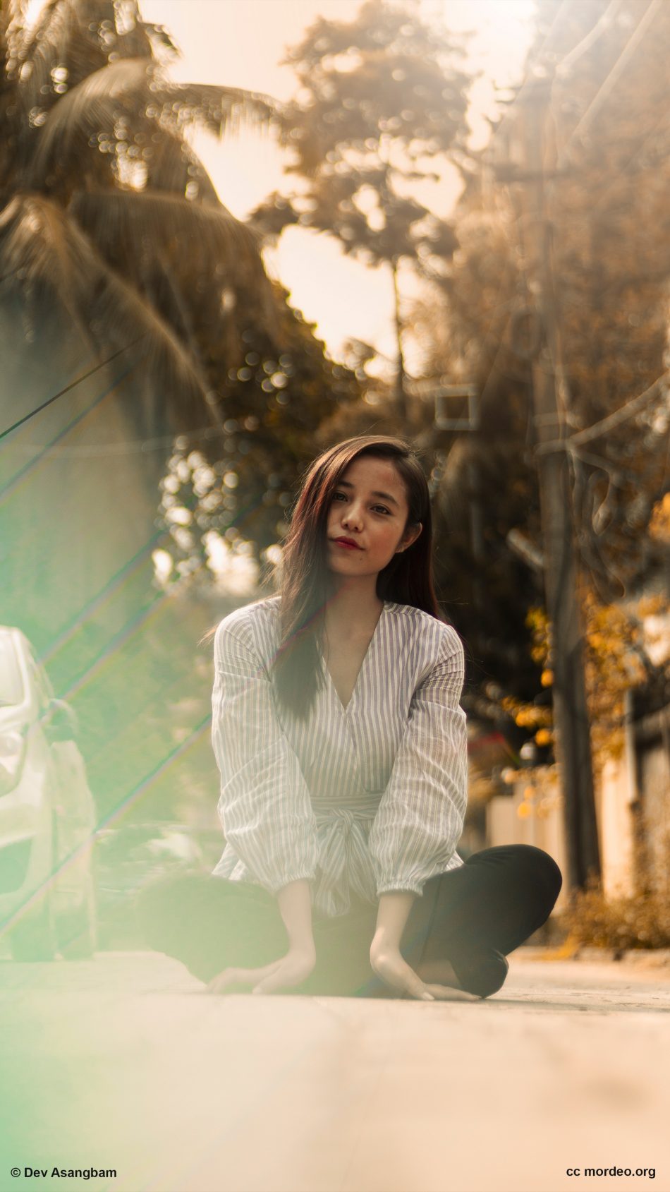 fond d'écran ultra hd fille,beauté,lumière du soleil,séance,la photographie,arbre