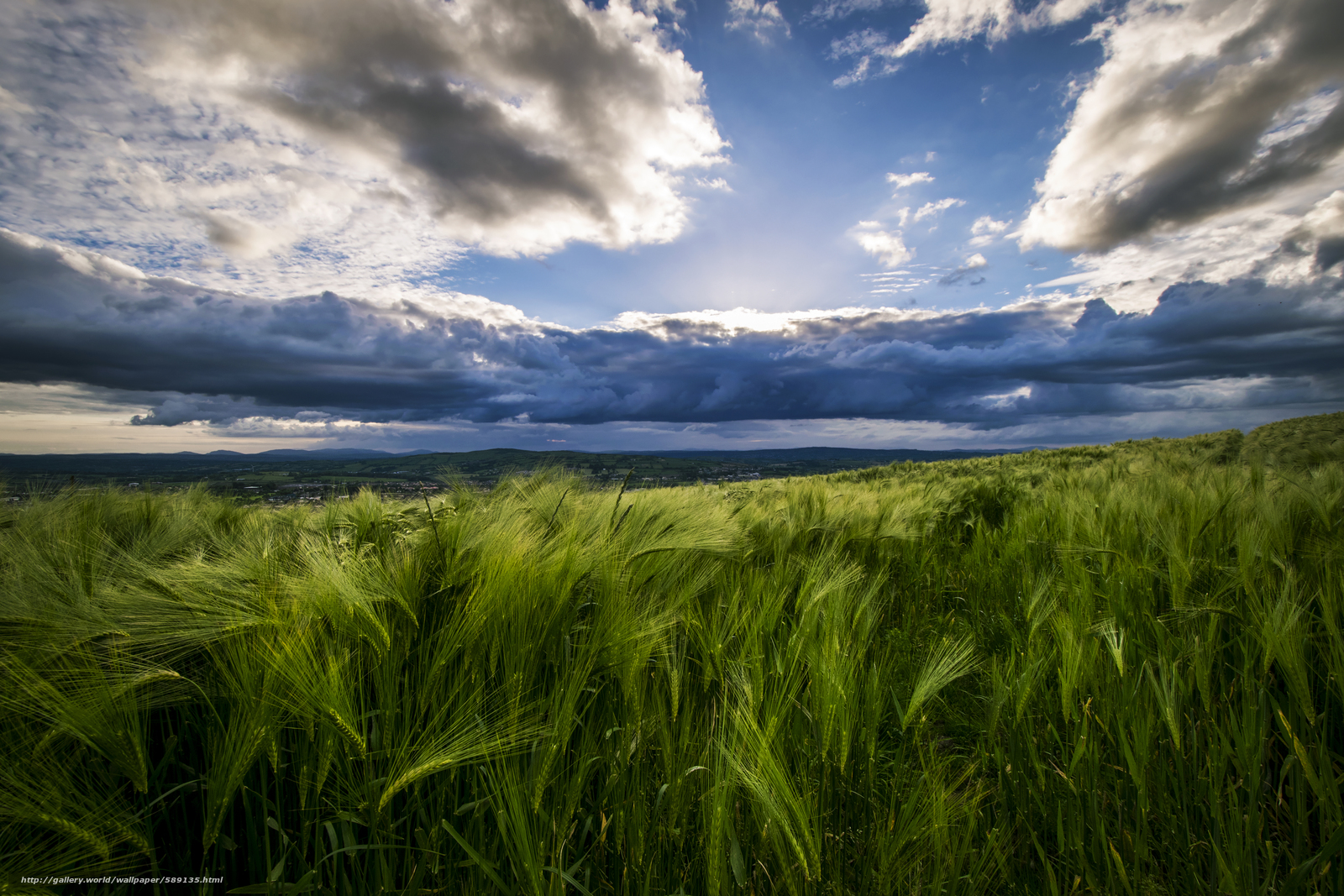 64k résolution fond d'écran télécharger,paysage naturel,ciel,la nature,prairie,vert