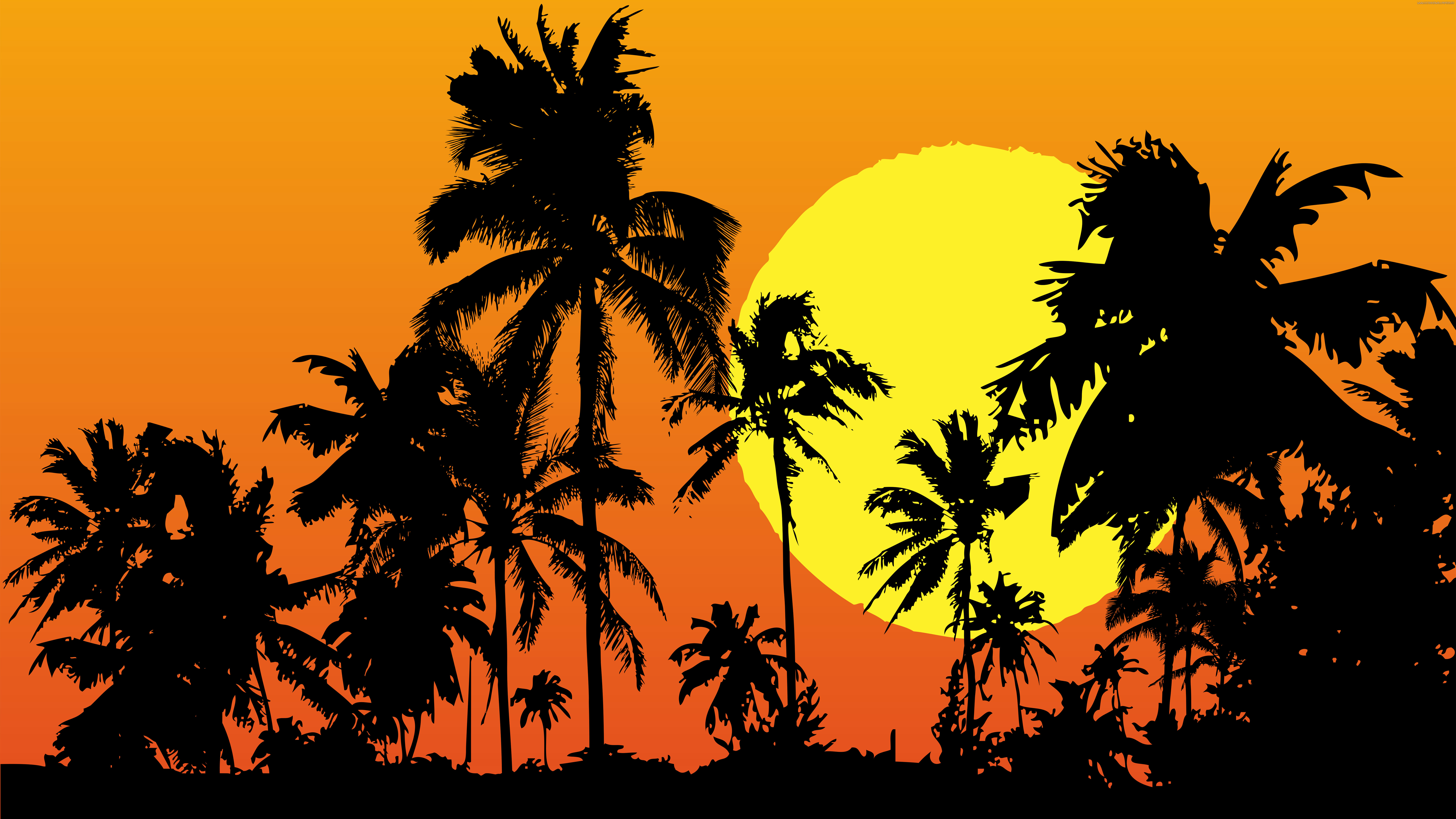 best 8k wallpapers,tree,palm tree,sky,arecales,silhouette