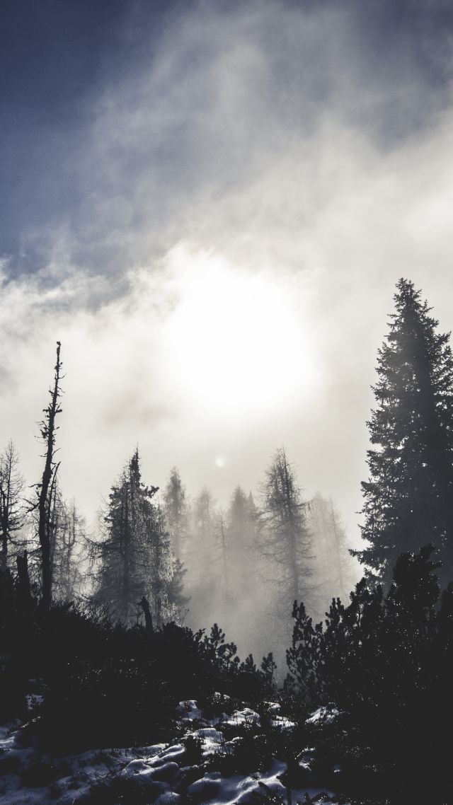 papier peint vertical 4k,ciel,la nature,arbre,nuage,paysage naturel