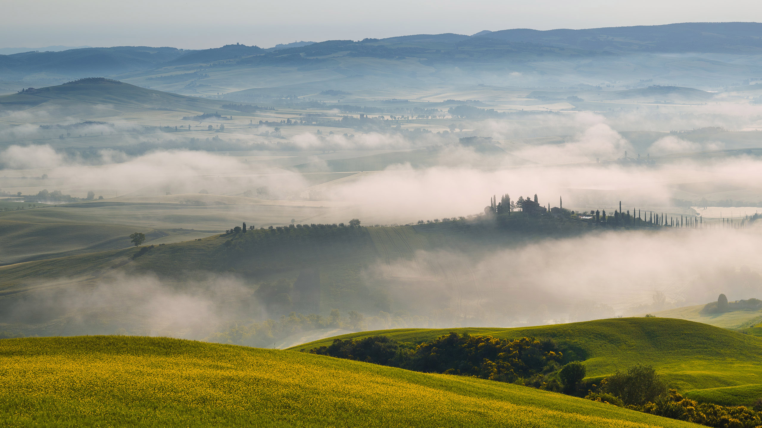 tapete super hd,nebel,himmel,natur,nebel,wiese