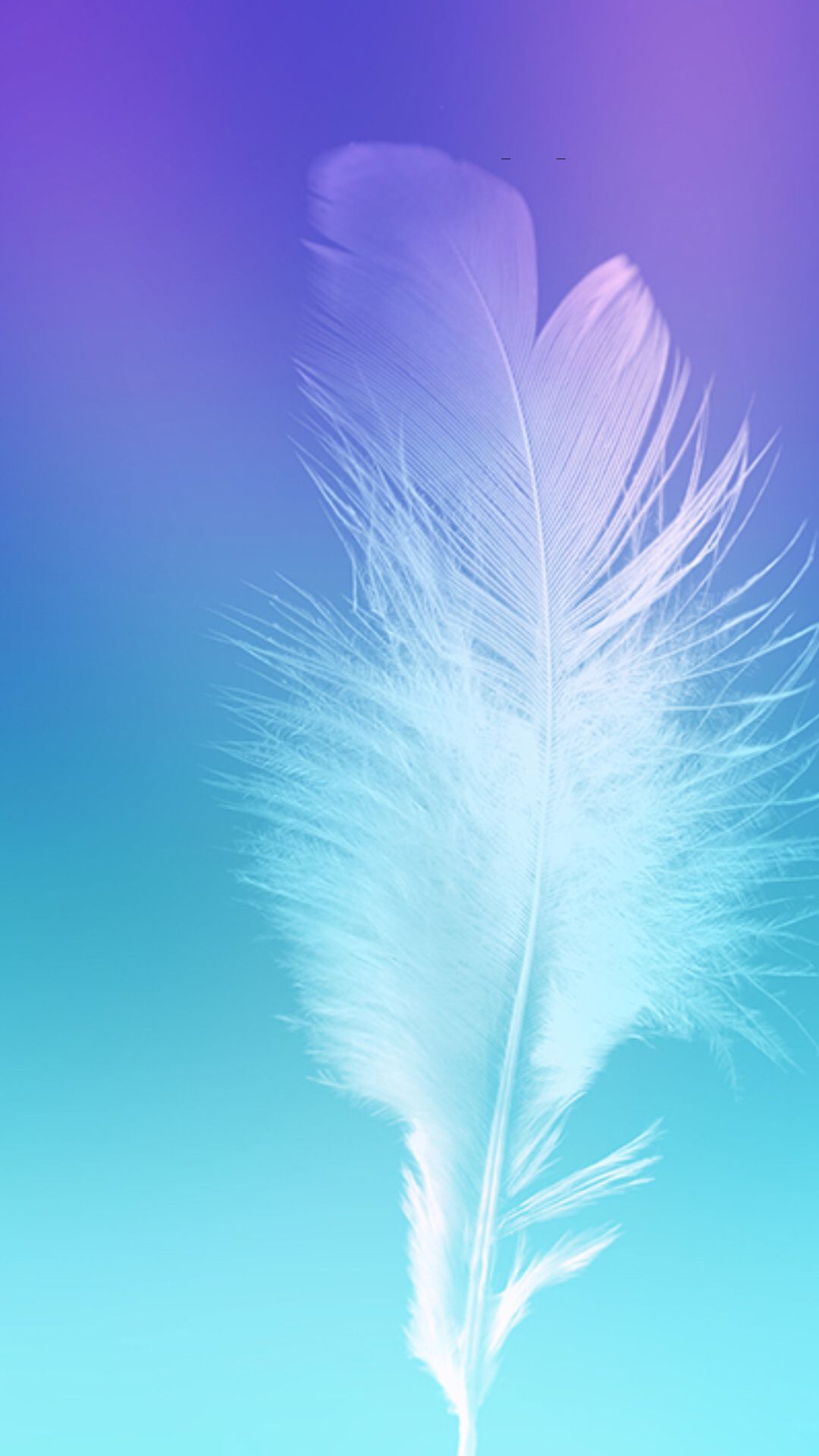 galaxy note 3 fondo de pantalla hd 1080p,pluma,azul,ala,cielo,planta