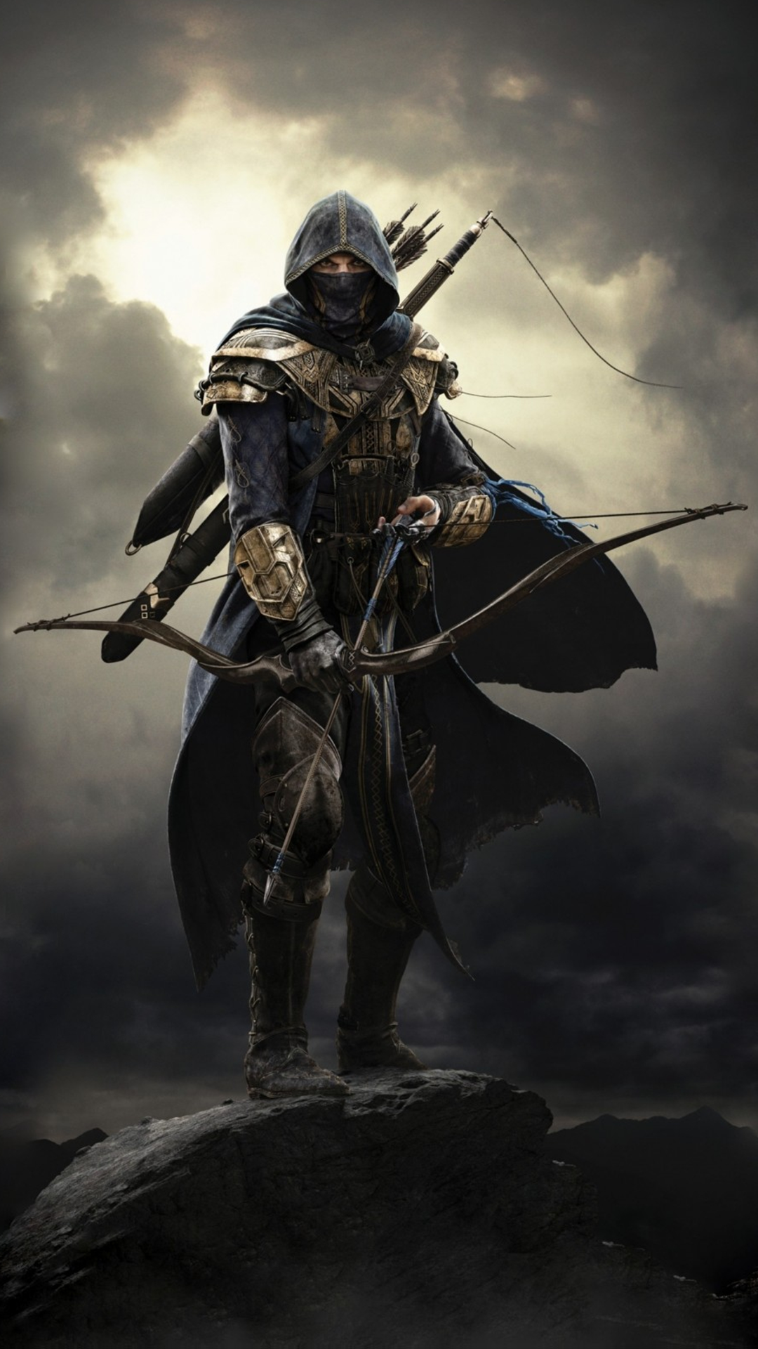 assassin's creed wallpaper for android,cg artwork,knight,action adventure game,illustration,warlord