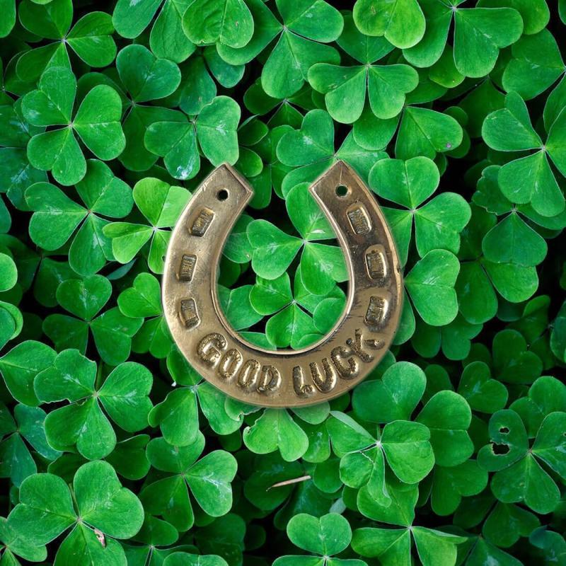 lucky wallpaper hd,green,symbol,shamrock,horseshoe,number
