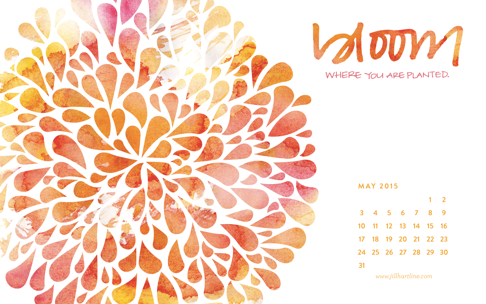 may desktop wallpaper,peach,textile