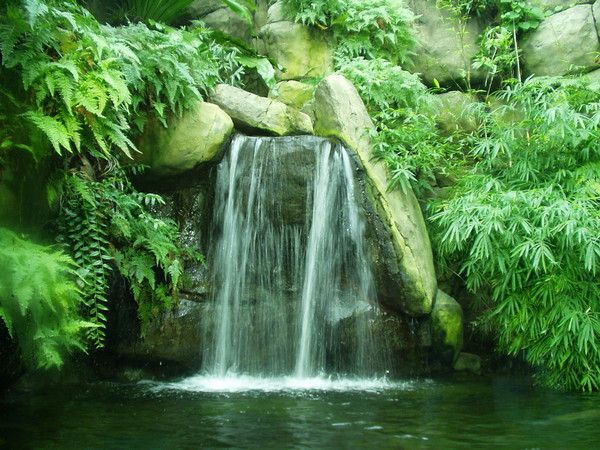 壁紙qui bouge,滝,水資源,水域,自然の風景,自然