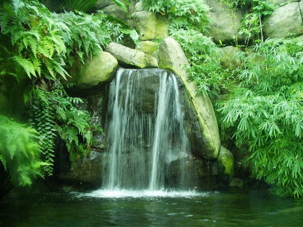 carta da parati qui bouge,cascata,risorse idriche,corpo d'acqua,paesaggio naturale,natura