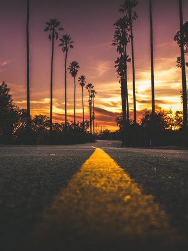 2048 wallpaper,sky,tree,sunset,palm tree,sunrise