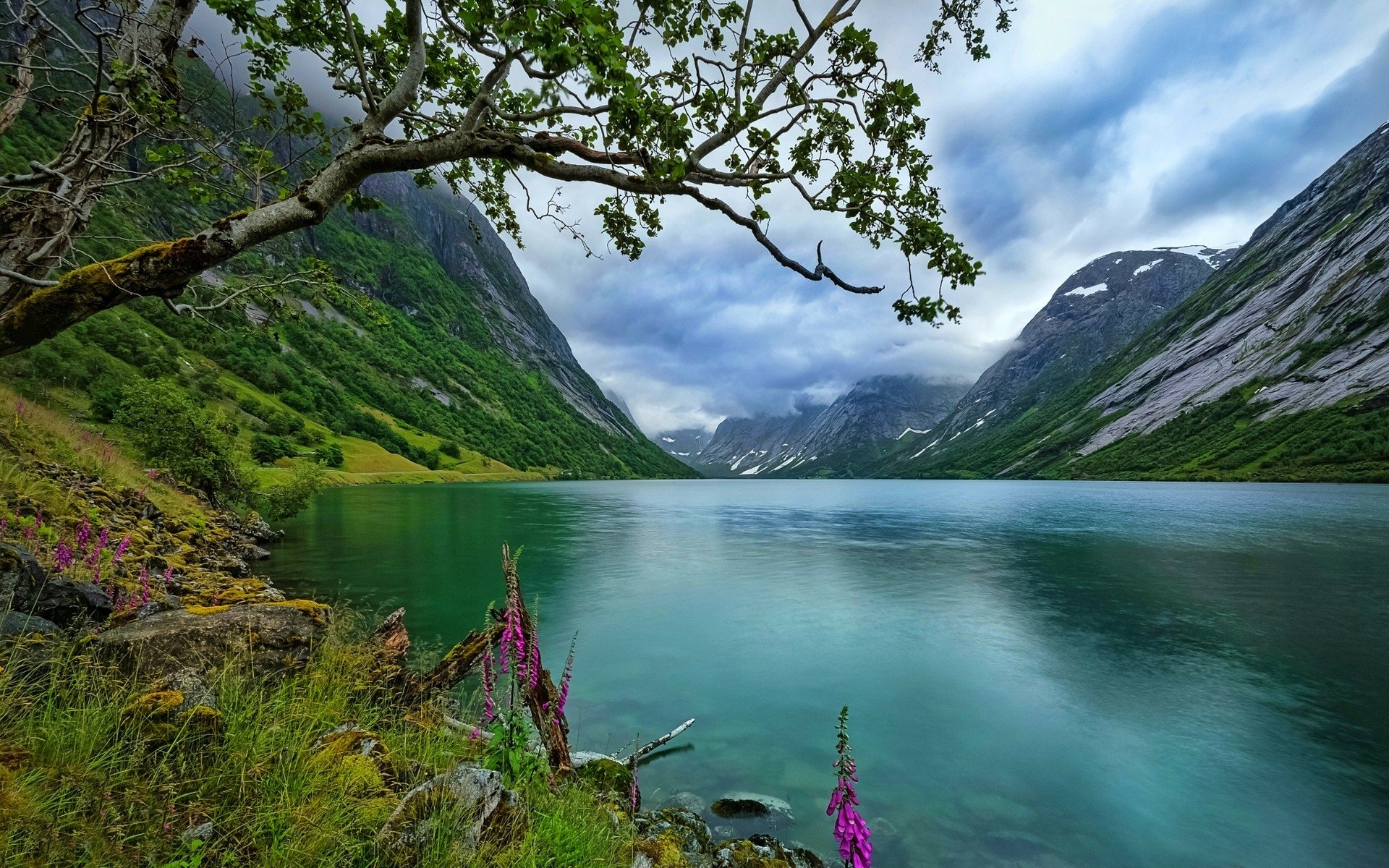 voir fond d'écran hd,plan d'eau,paysage naturel,la nature,lac,fjord