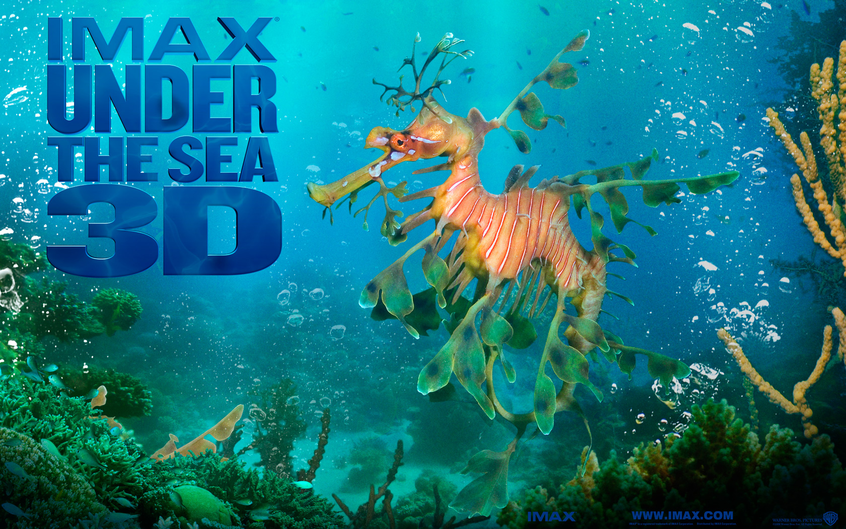 3d sea wallpaper,marine biology,organism,weedy seadragon,aqua,wildlife